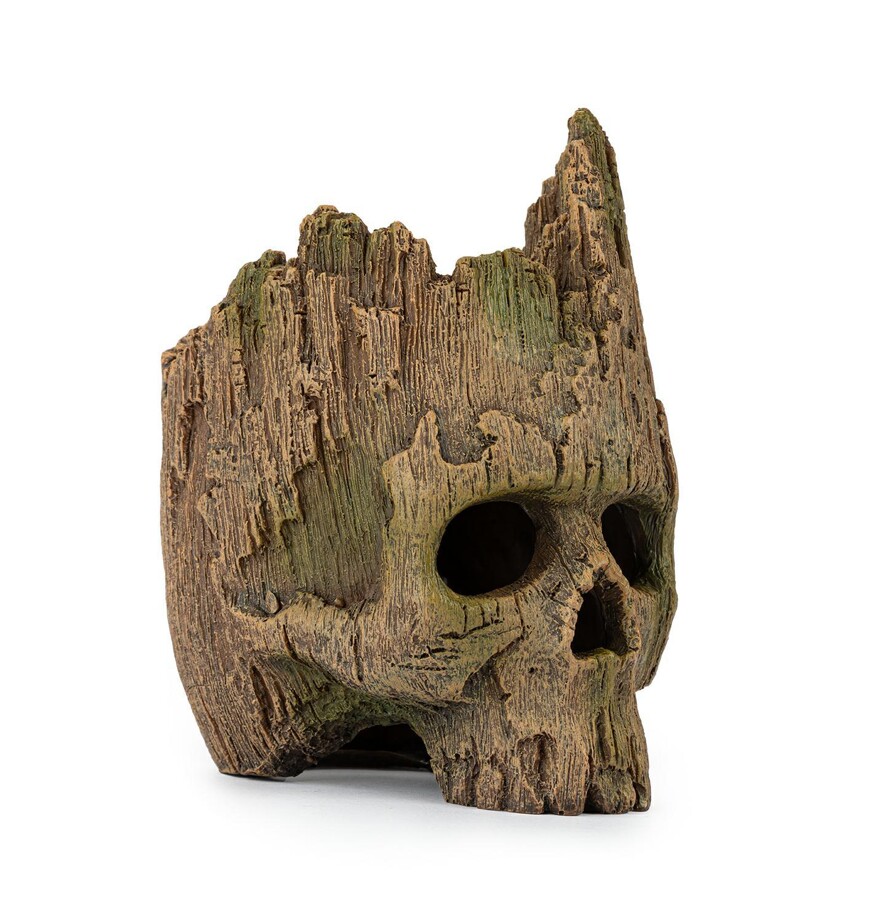 Medžio imitacijos kaukolė