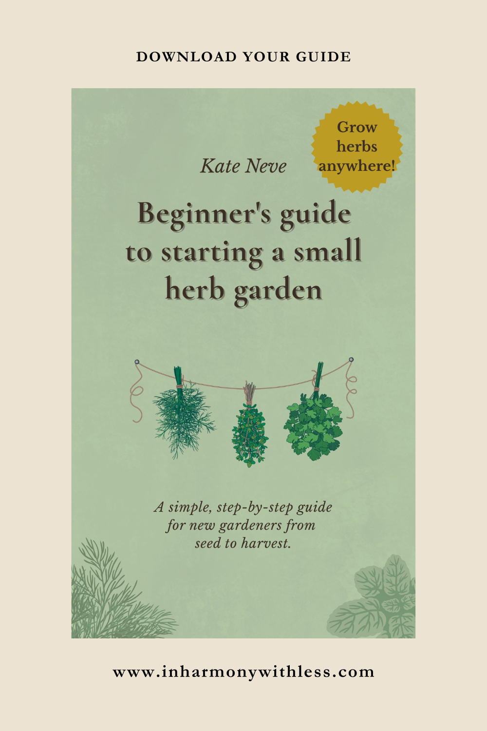 Beginner's Guide to Starting a Small Herb Garden