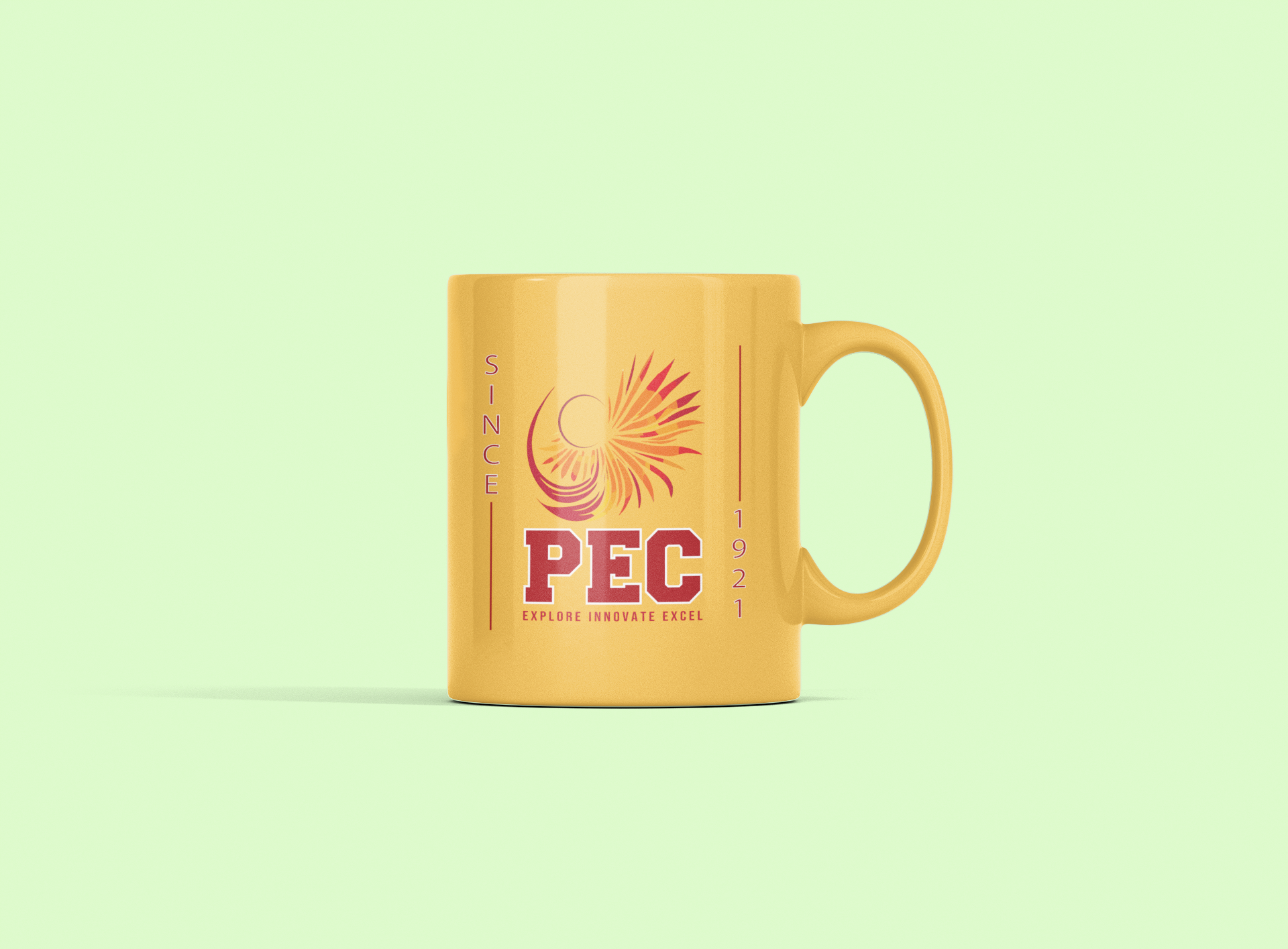 PEC Ceramic Mug