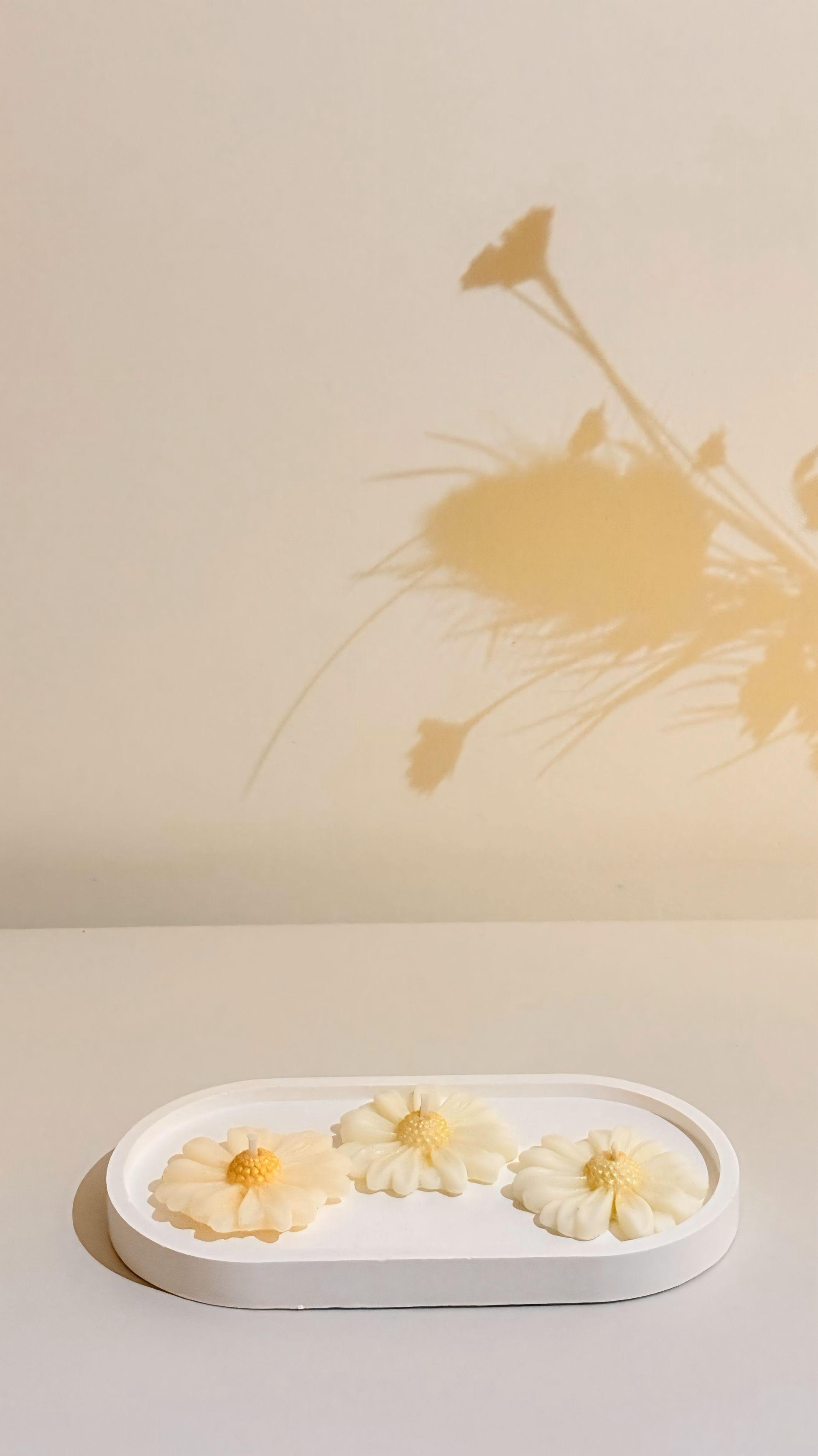 Velas Aromáticas | Margaridas 10 g