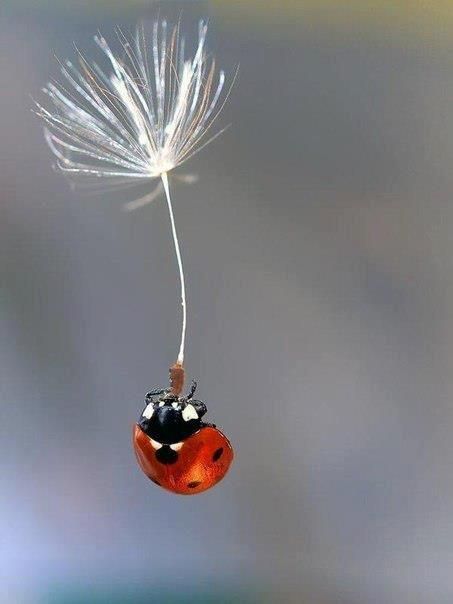 Formule Enfants & Ados – Lecture intuitive