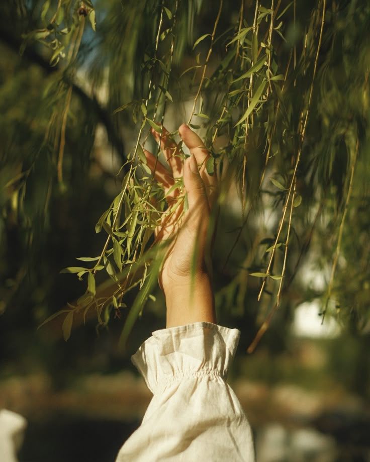 Séance Libre – Clé d’Entrée