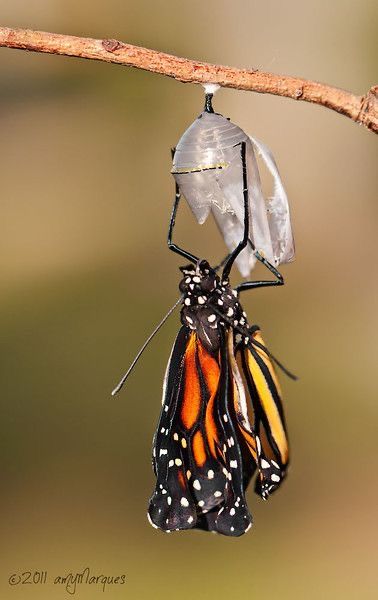 Formule Enfants & Ados – Transformation