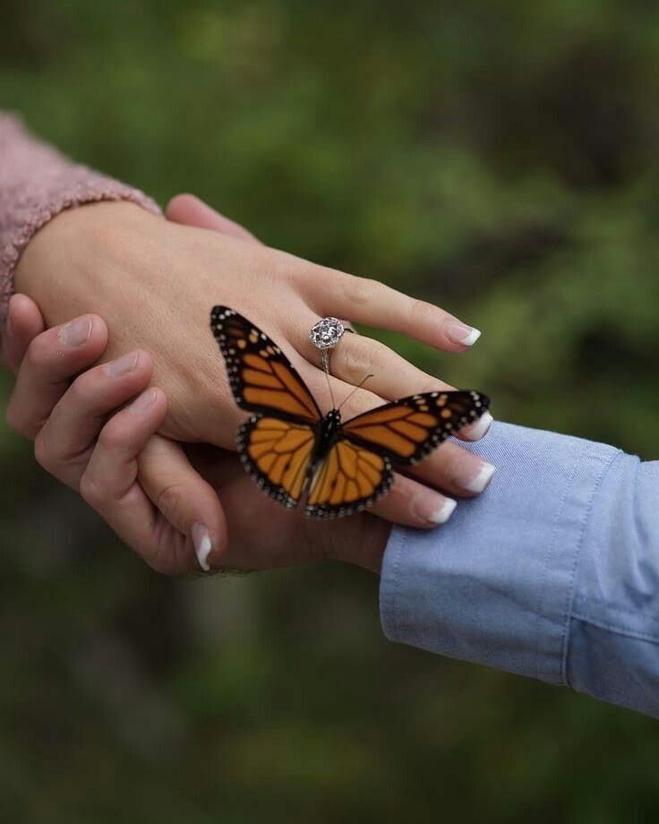 Formule Union (sur demande)