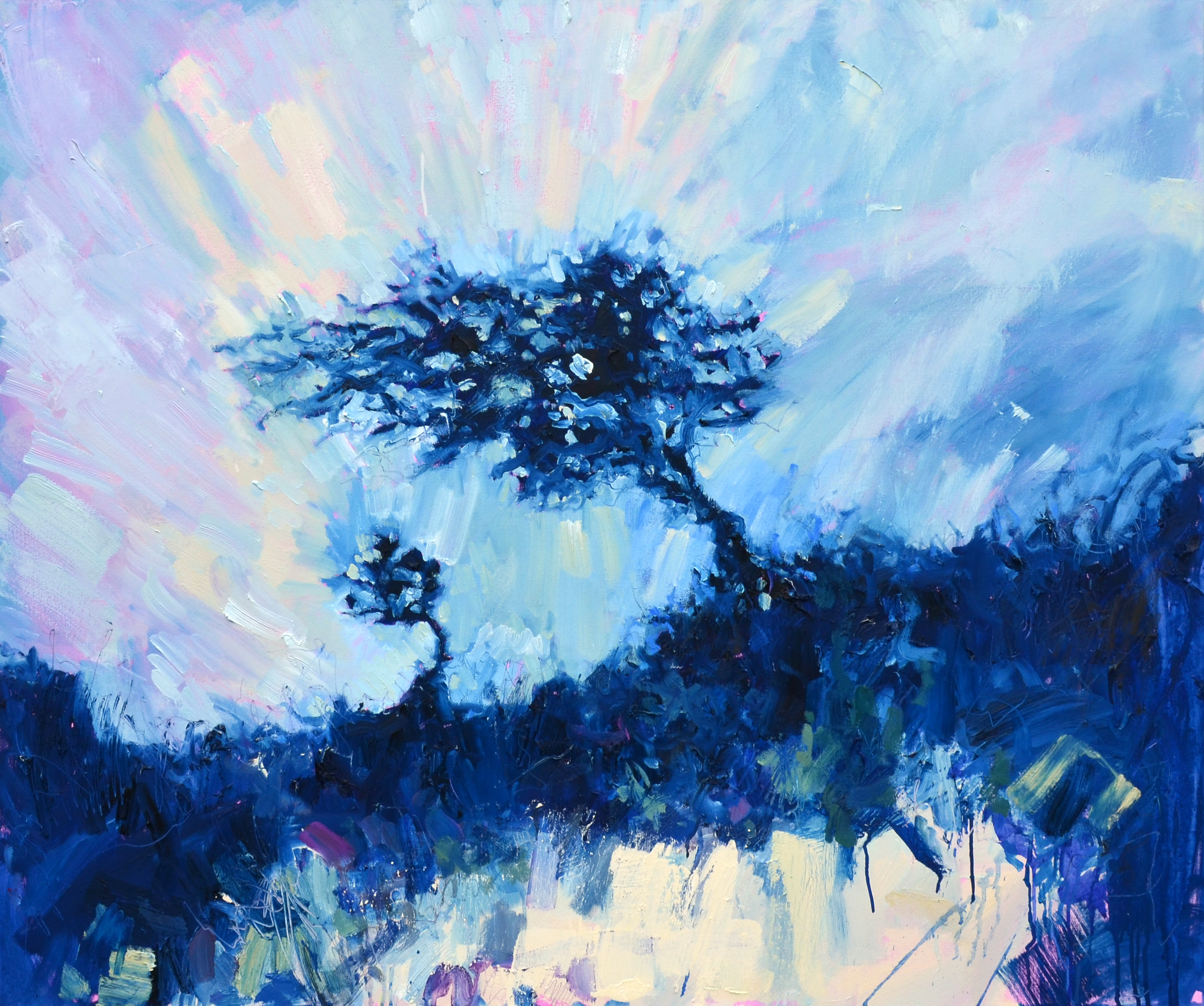 Windblown Cornish Tree, Summer Sky
