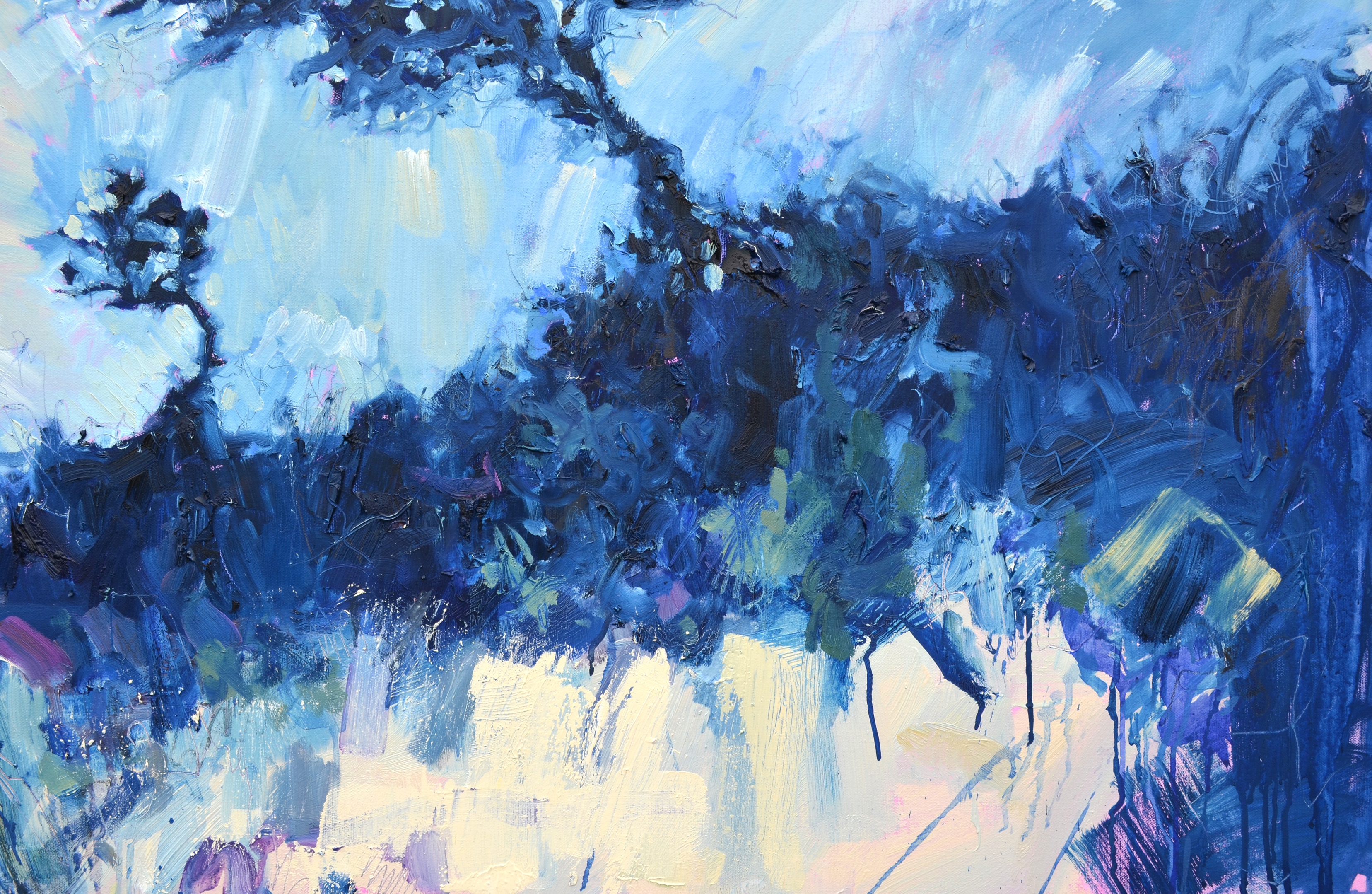 Windblown Cornish Tree, Summer Sky