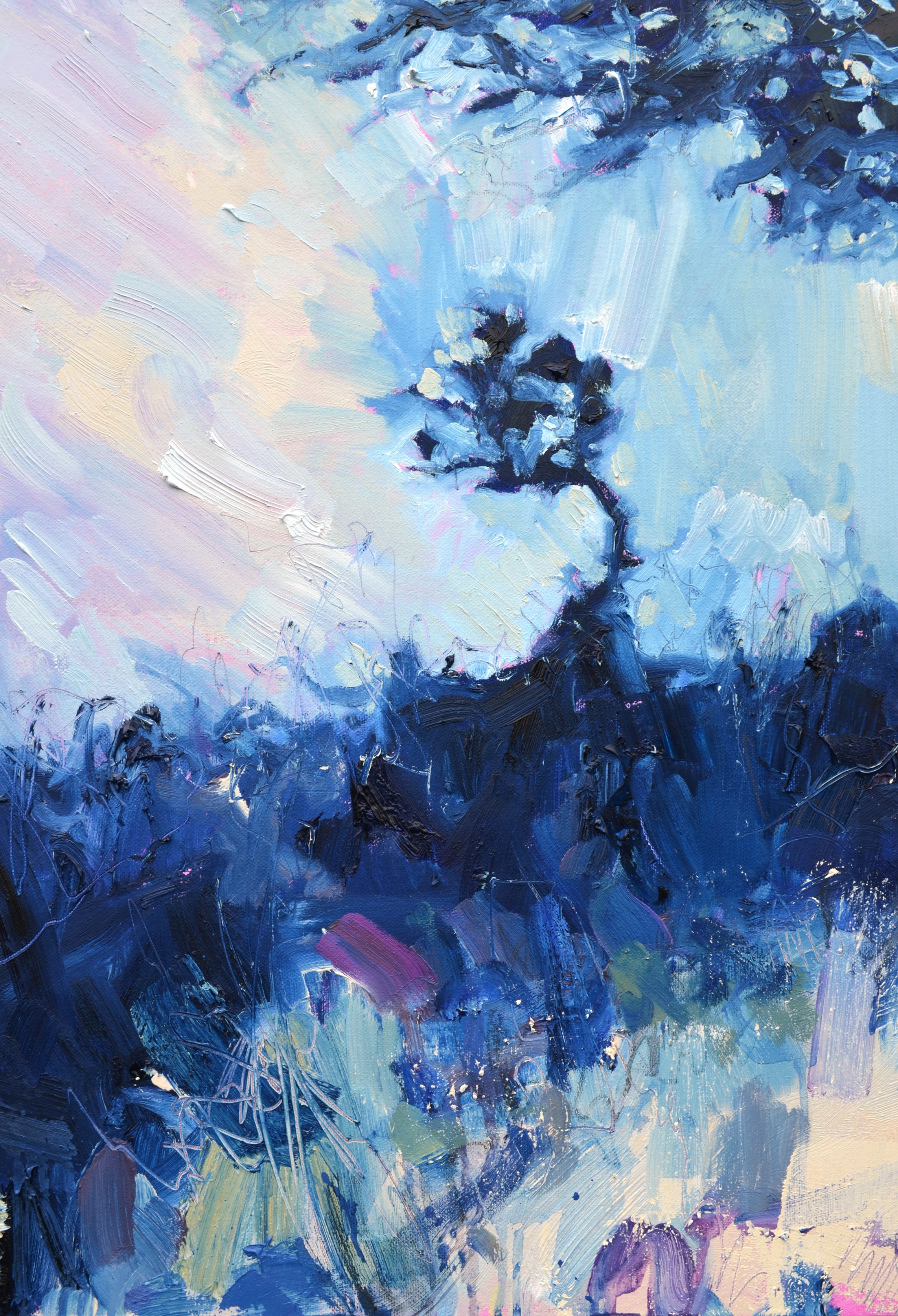 Windblown Cornish Tree, Summer Sky