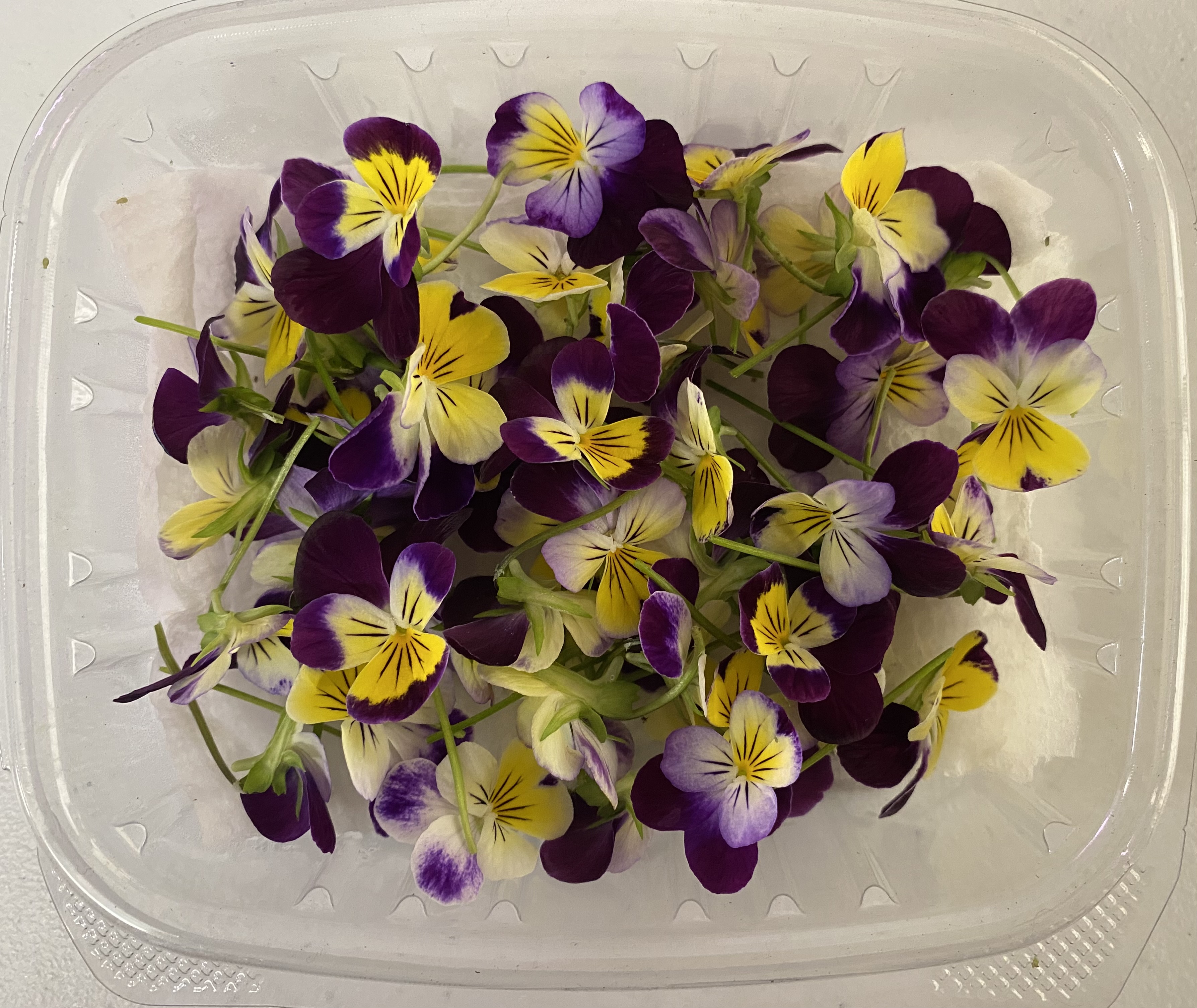 Fresh Edible Pansy 50pcs