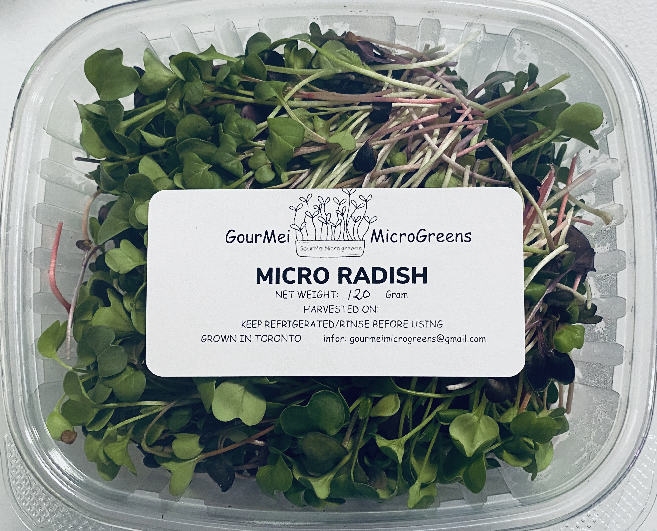 Micro Radish 120g