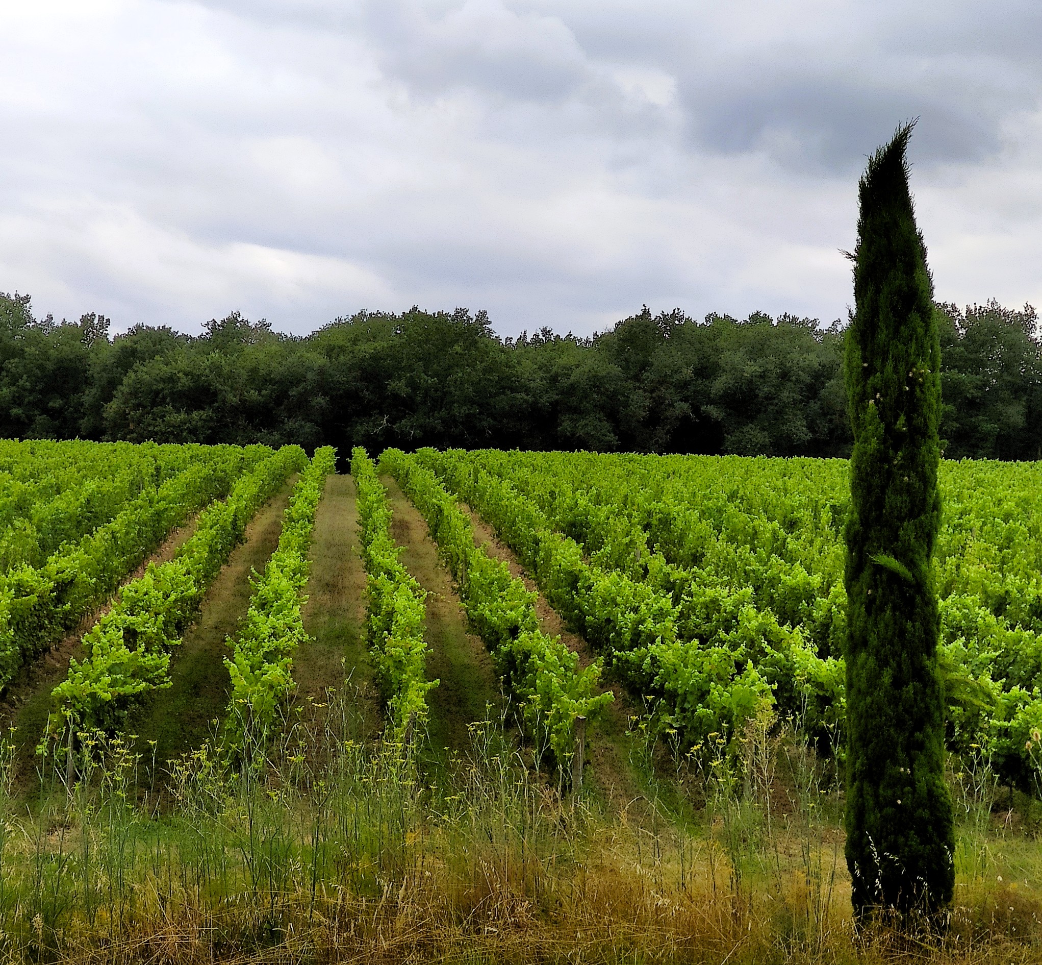 A Votre Tour - Journée Complète