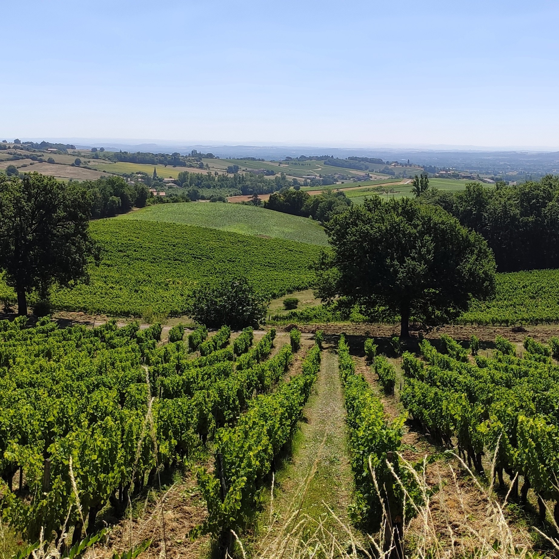 Notre Tour - Demi-Journée