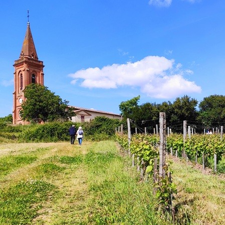 Notre Tour - Demi-Journée