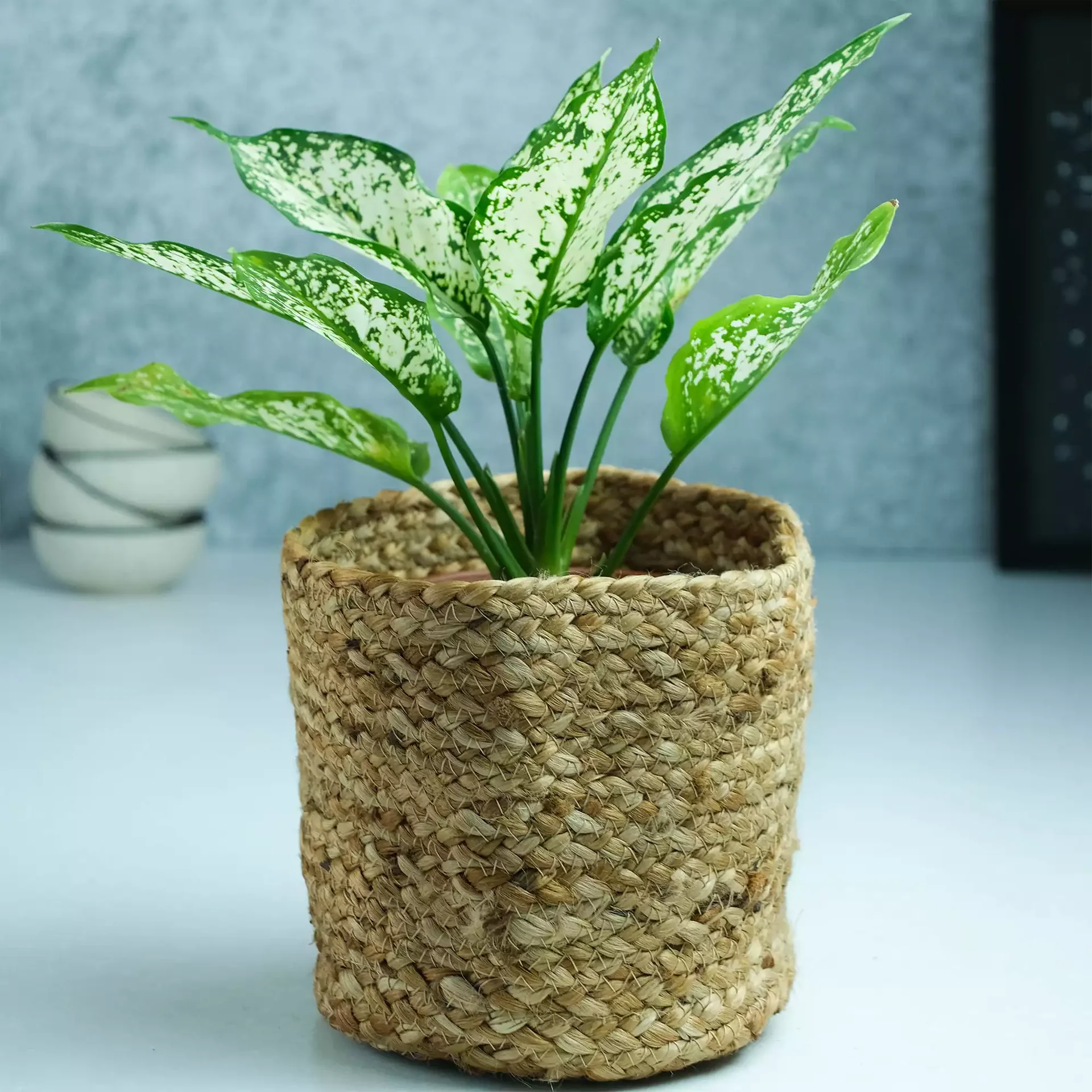 Jute Flower Pot