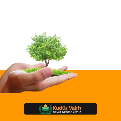 Ağaç Dikme Bağışı