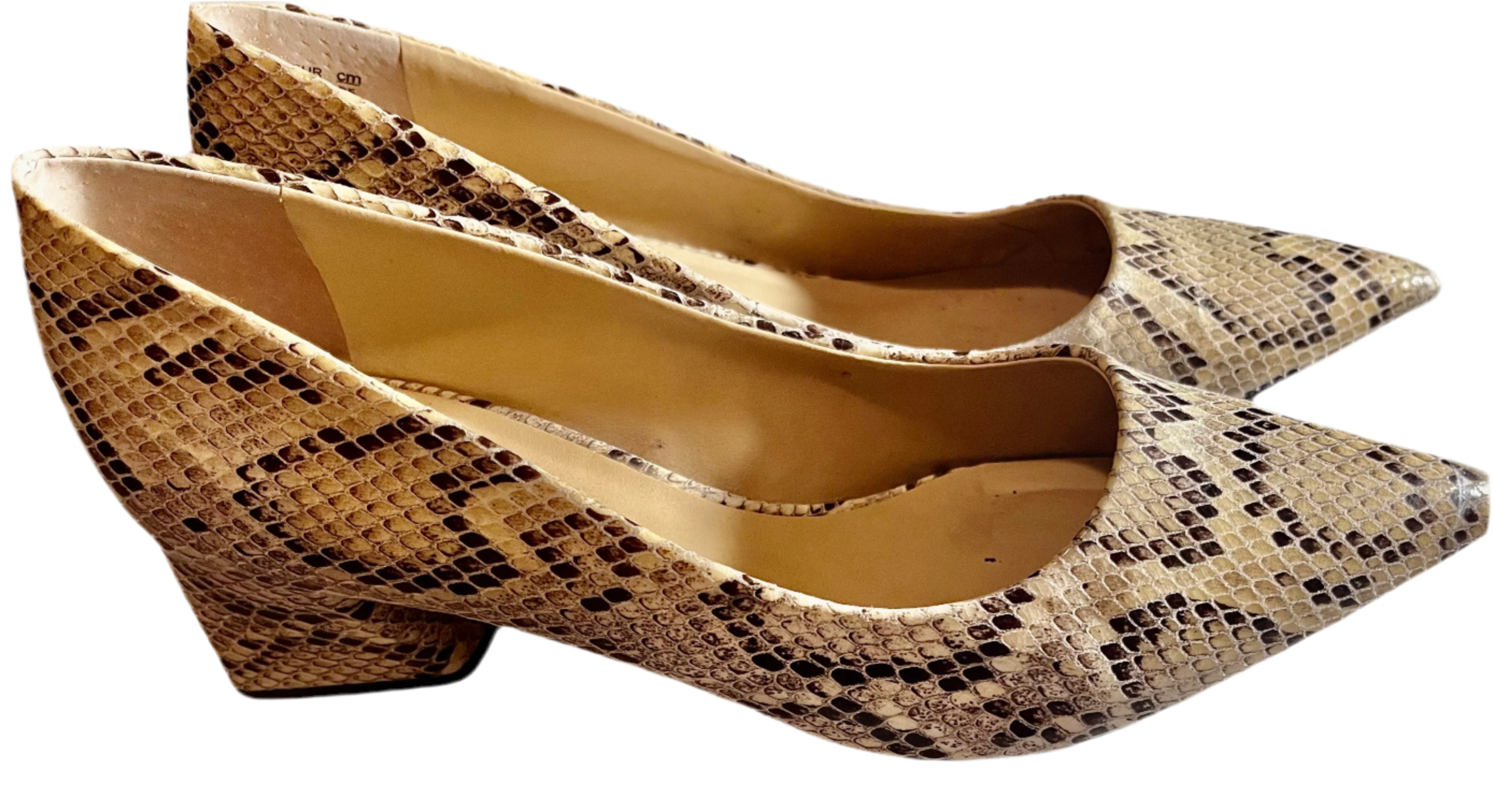 Franco Sarto-Snake Print Pointed Toe Flats