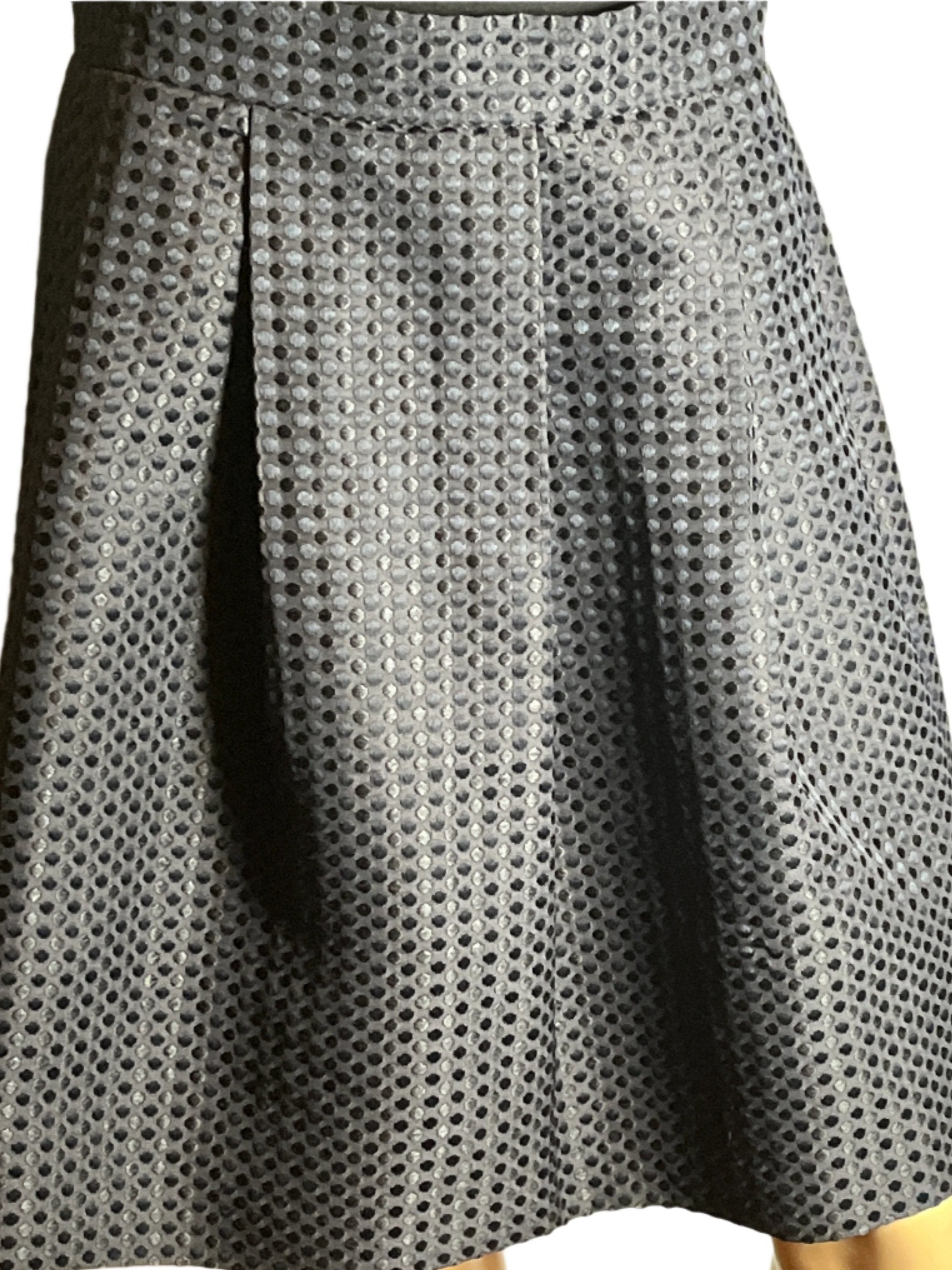 Gray Pleated Black Skirt (size 4)