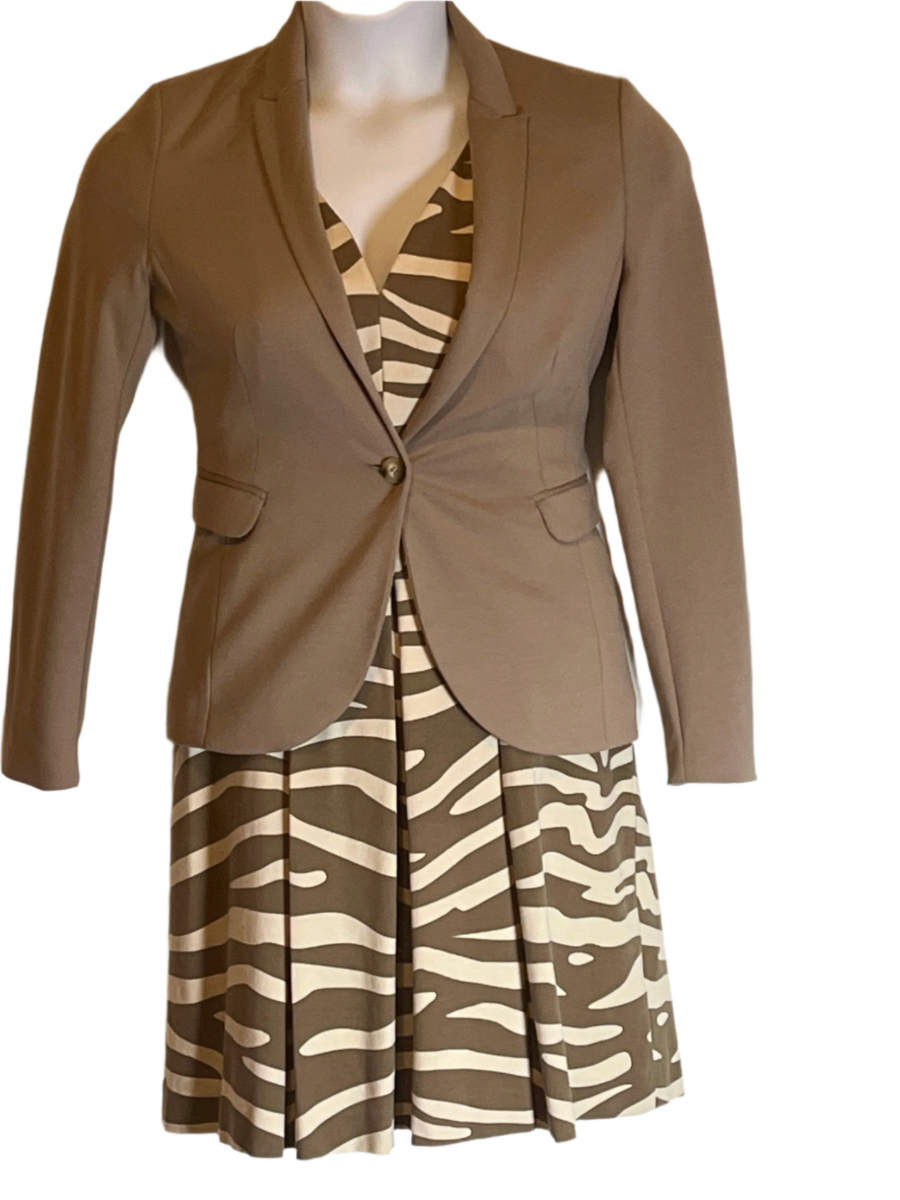  Zebra Print Dress (size 10)