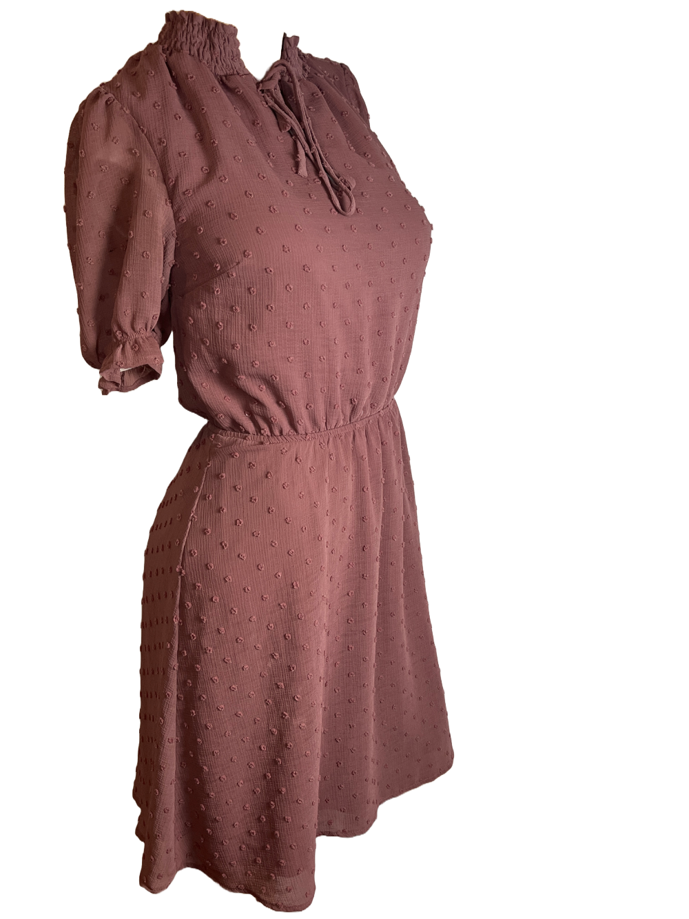 Monteau Los Angeles- Elegant Mauve Dress (Size XS)
