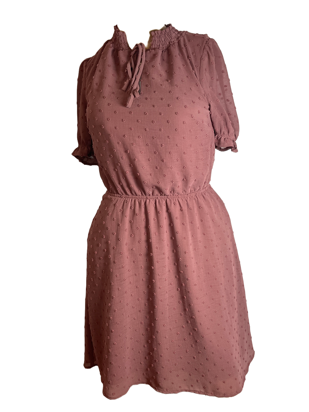 Monteau Los Angeles- Elegant Mauve Dress (Size XS)