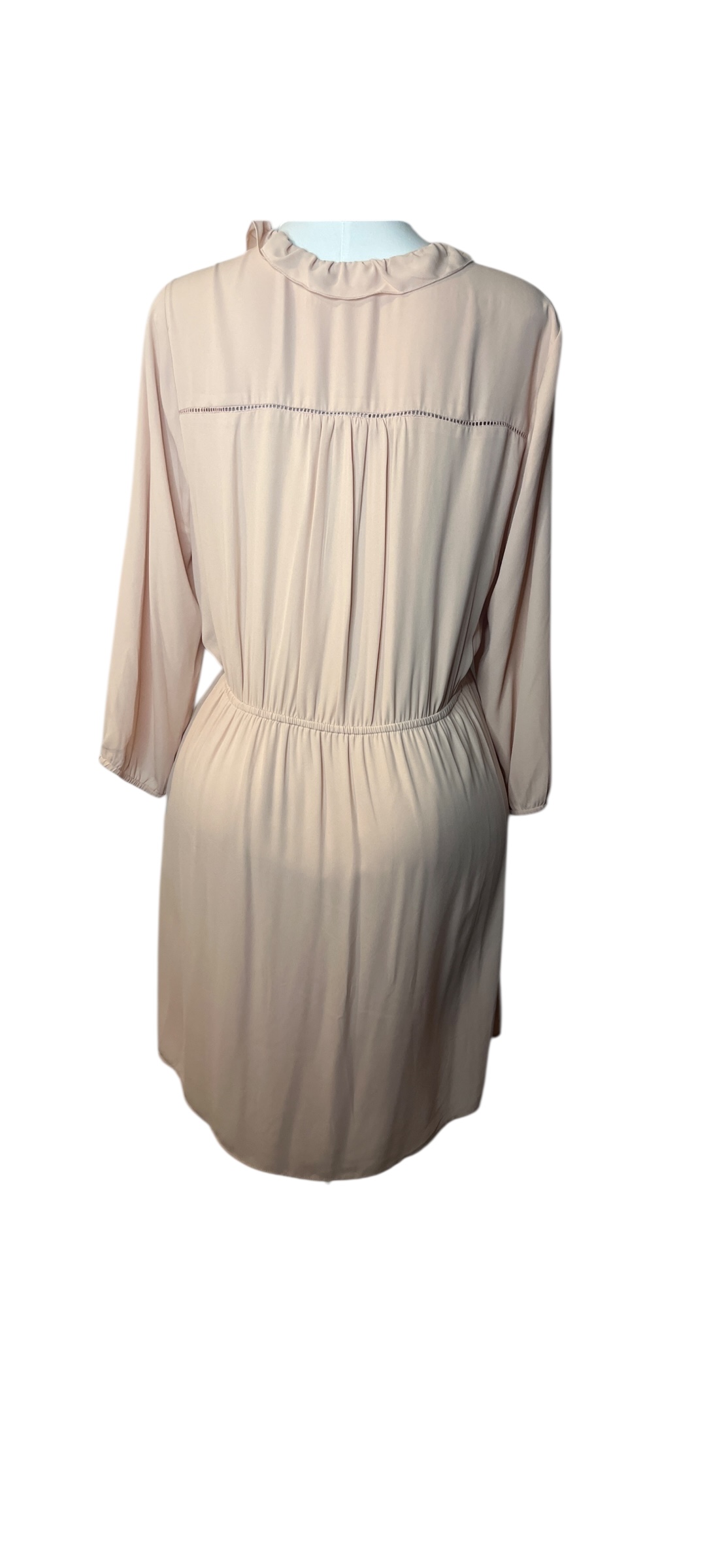 DR 2- Elegant Light Pink Dress