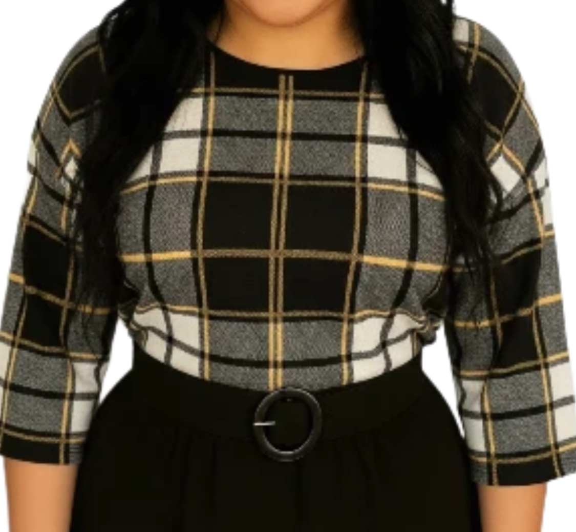 Plaid Long Sleeve Top (size 2x)