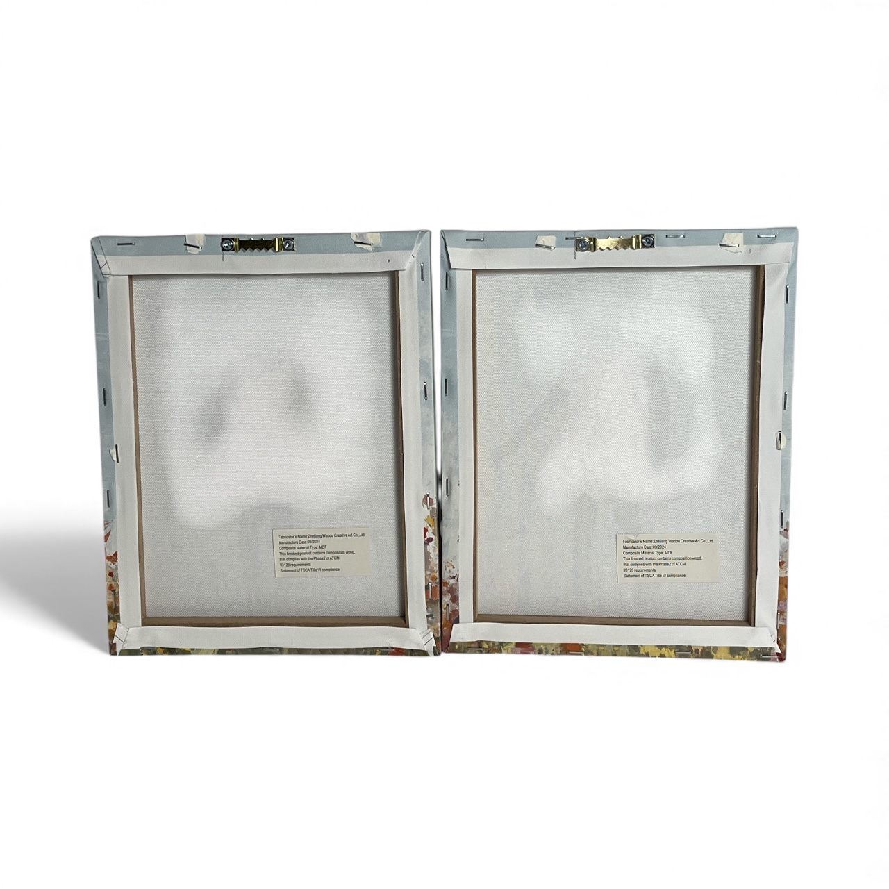 Girl in Garden Art Canvas(set of 2)