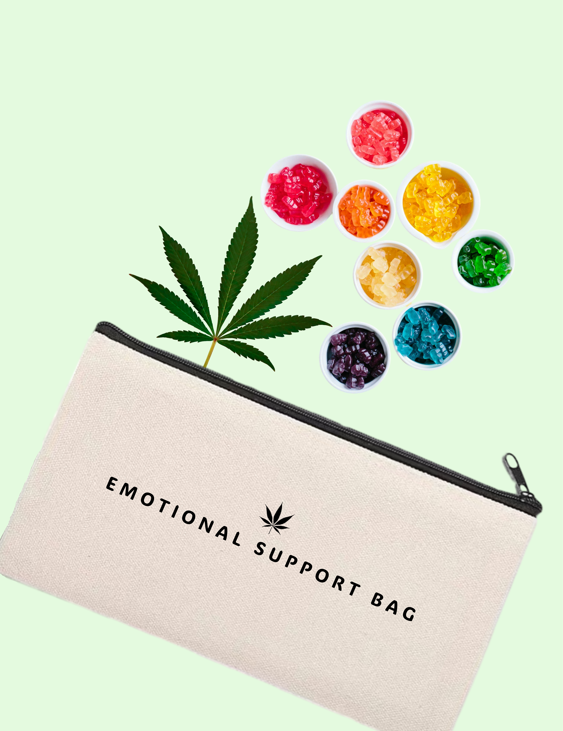 High Maintenance Pouch Collection