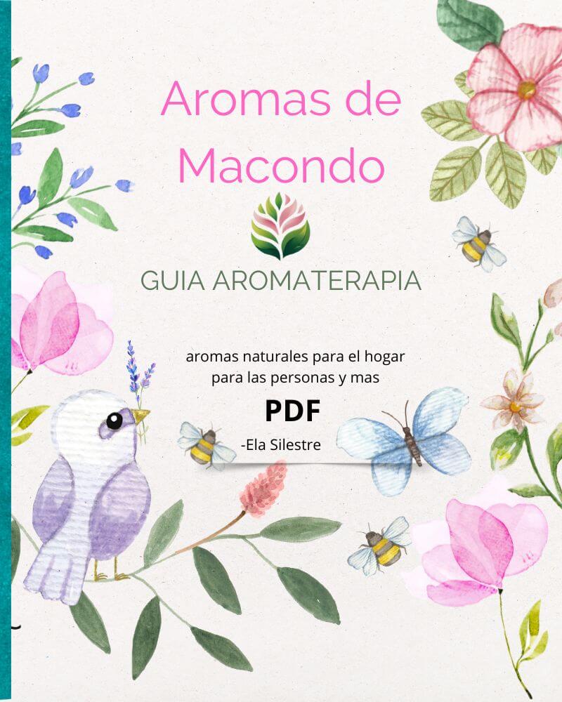 Guía de Aromaterapia en PDF