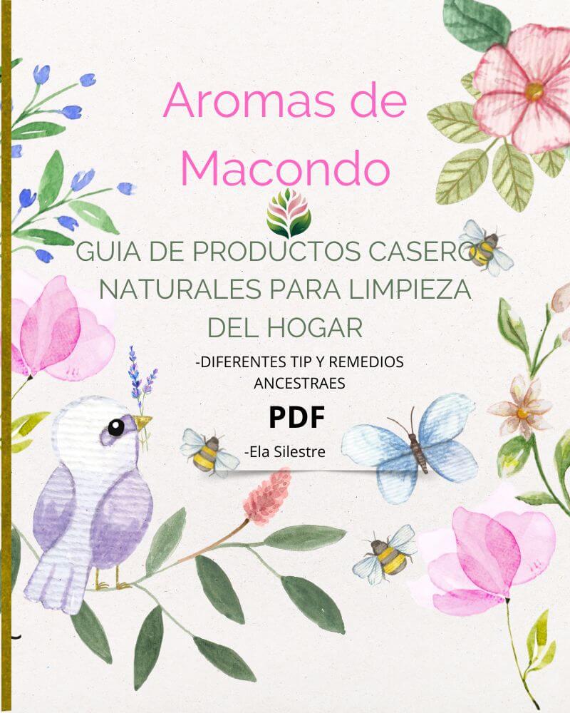 Guía de productos caseros para el aseo del hogar-PDF