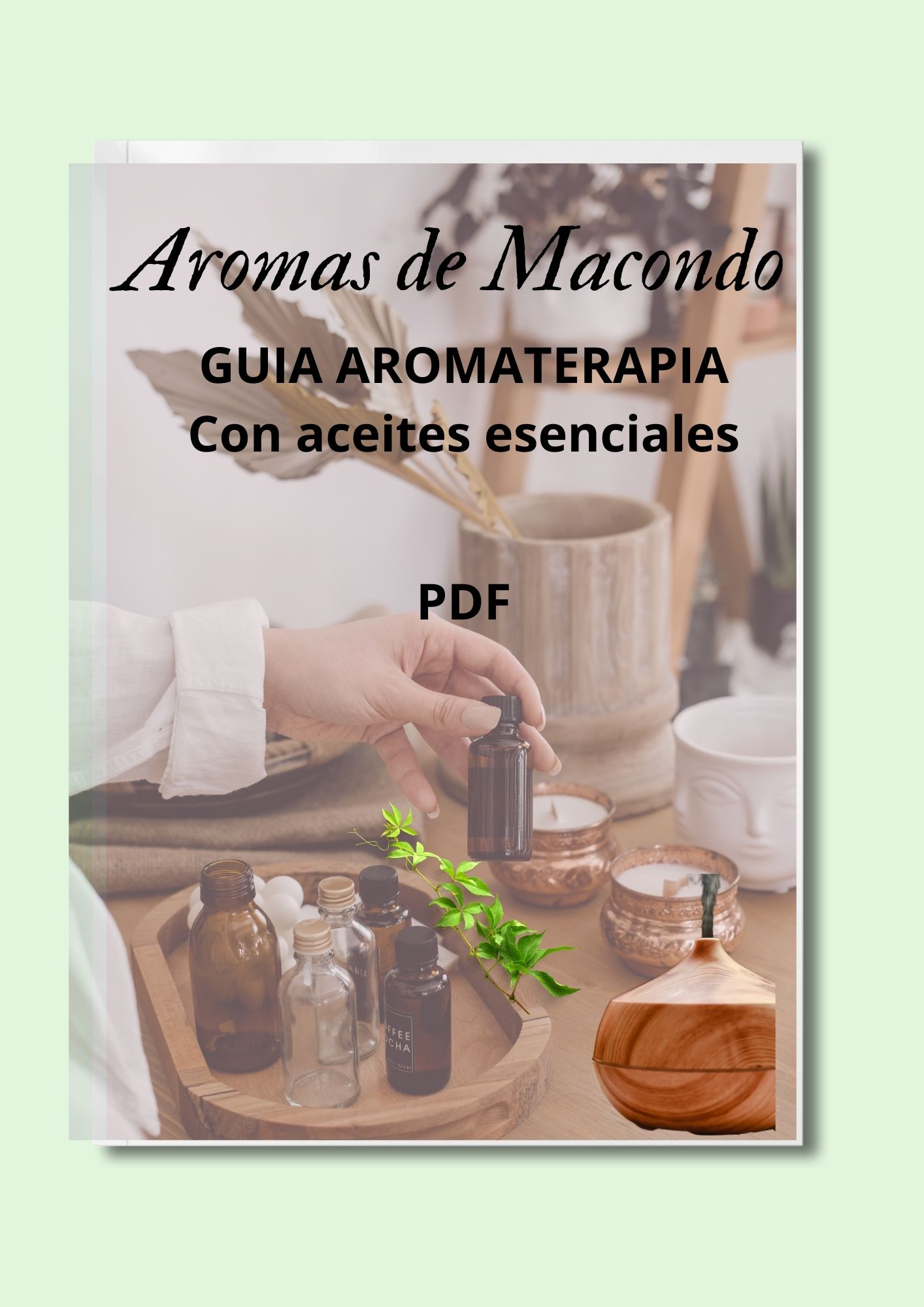Guia cuidado del cabello