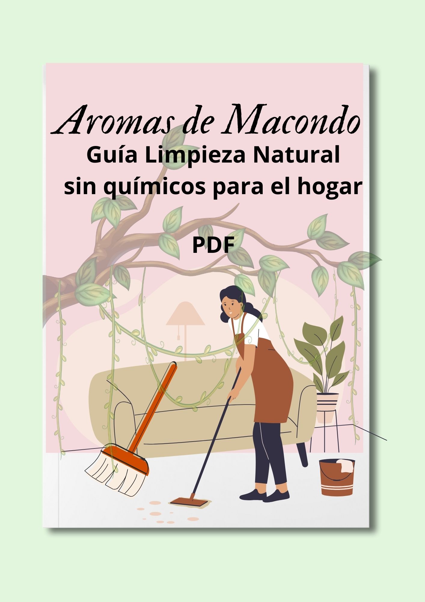 Guía de productos caseros para el aseo del hogar