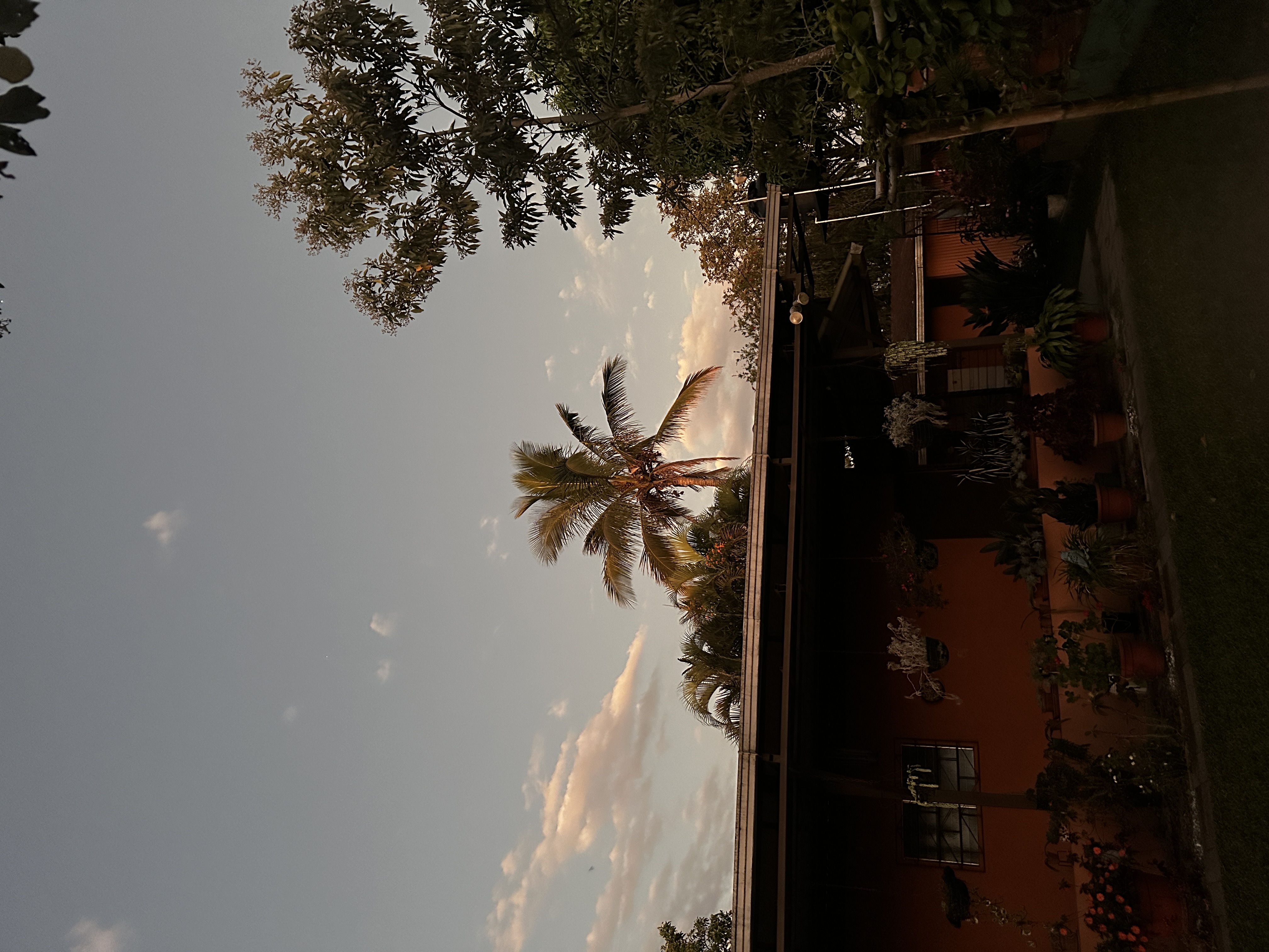 🌿 The Stress-Free Wellness Plan: Balanced Living for Busy Lives