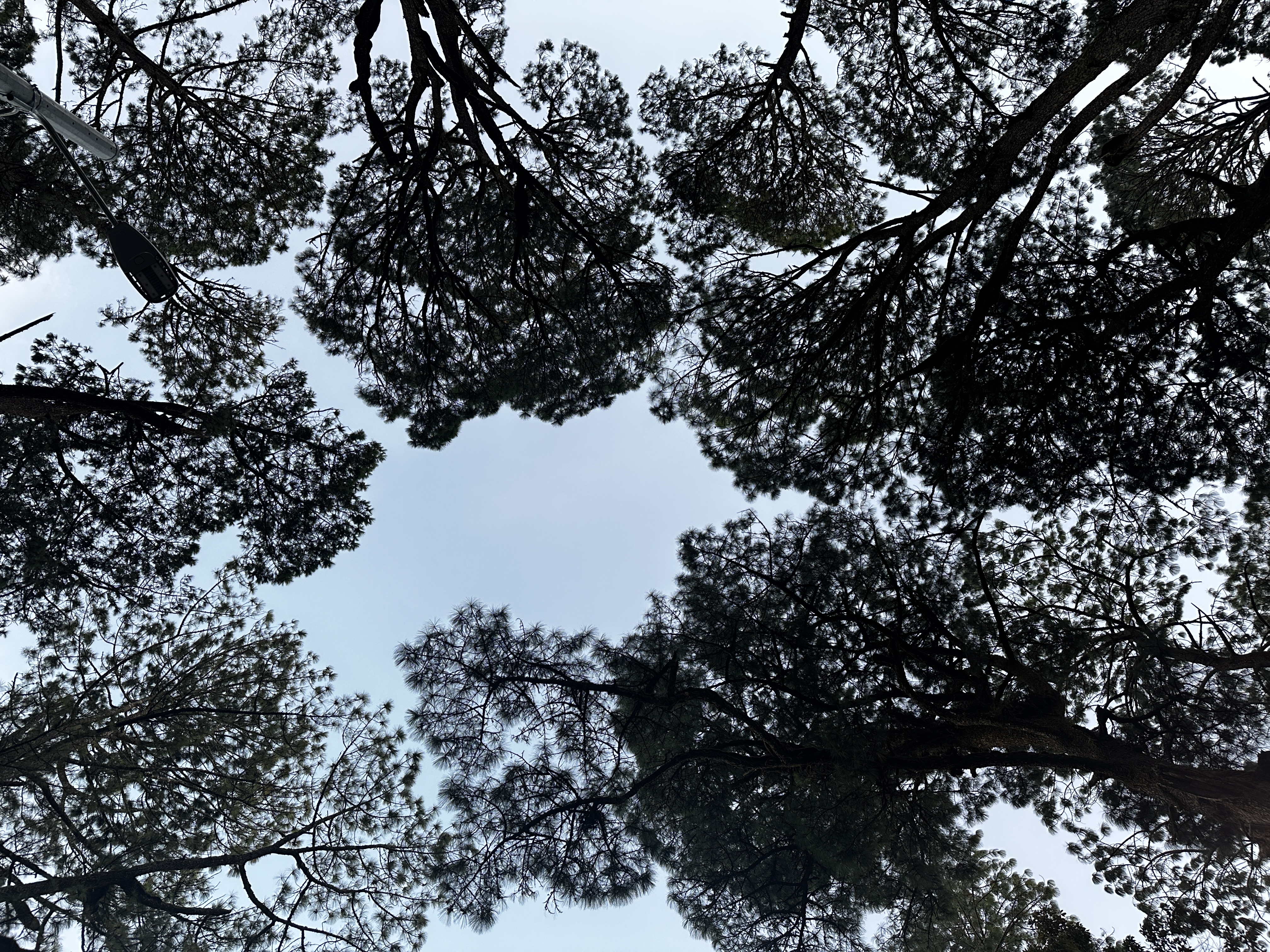 🔥 The 360° Body & Mind Transformation: Pilates, Breathwork & Healing