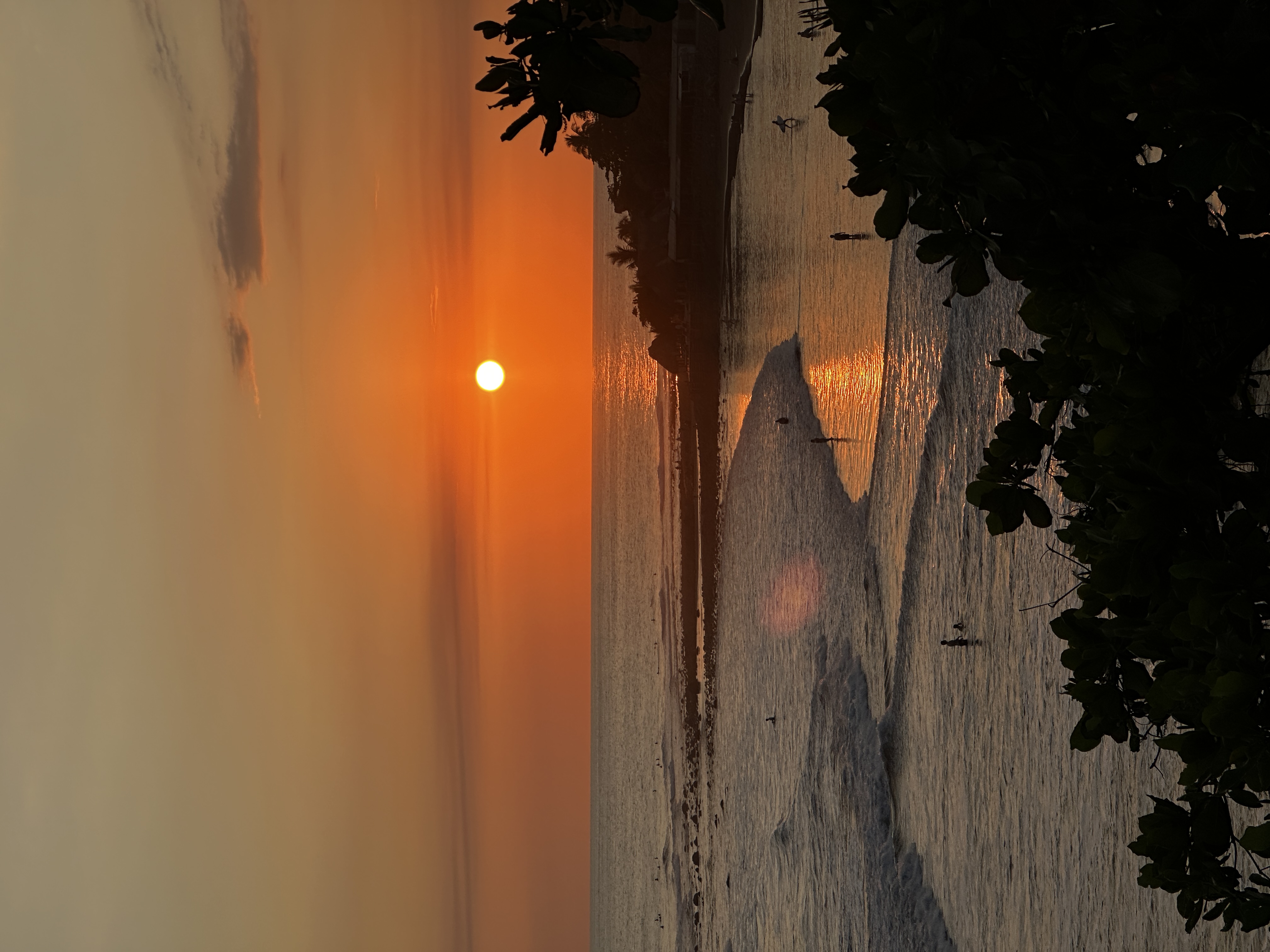 🌿 The Balanced Living Blueprint: 3 Sessions for Mind-Body Renewal