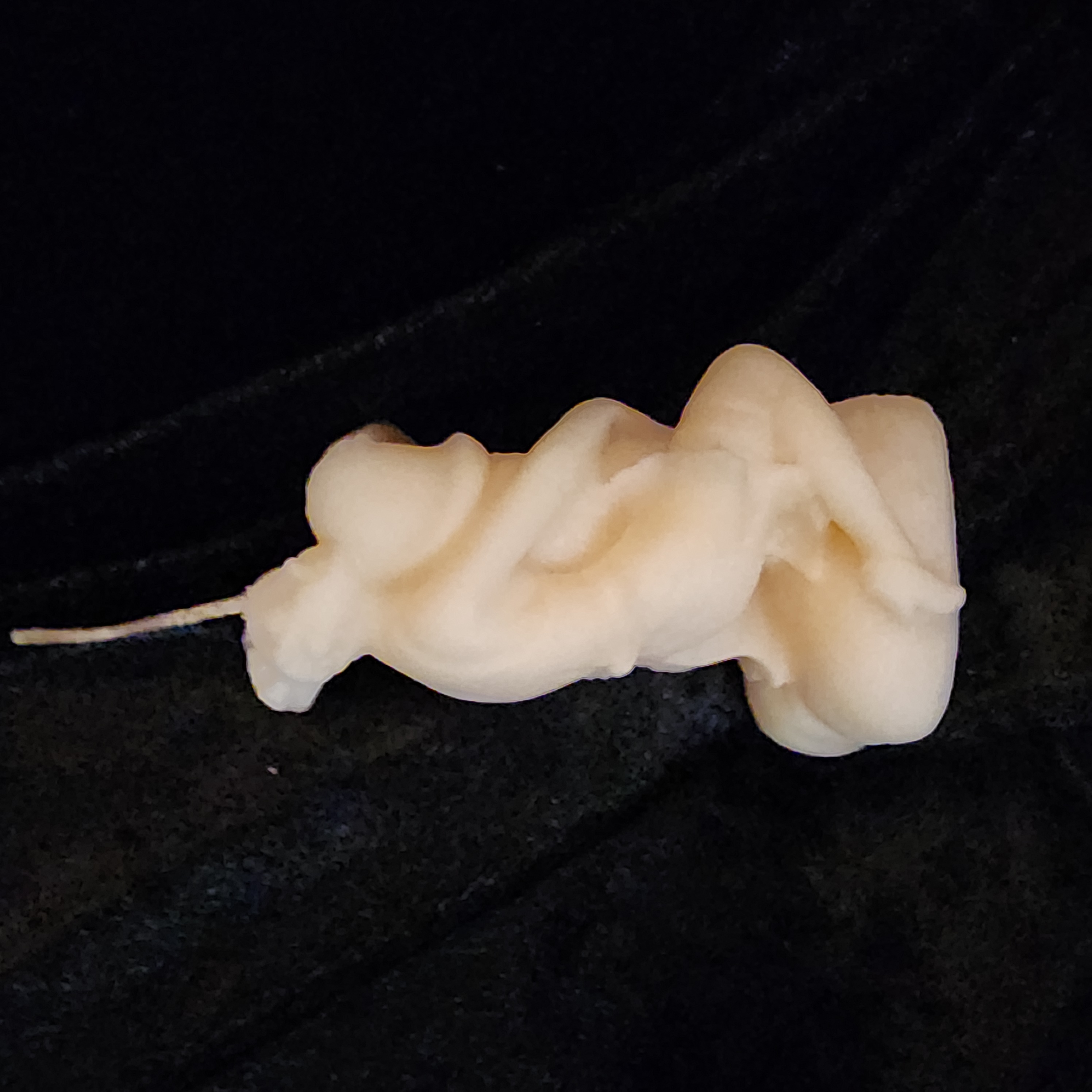 Phallic Embrace Candle