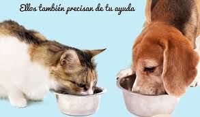 Dona y ayuda a los que mas necesitan