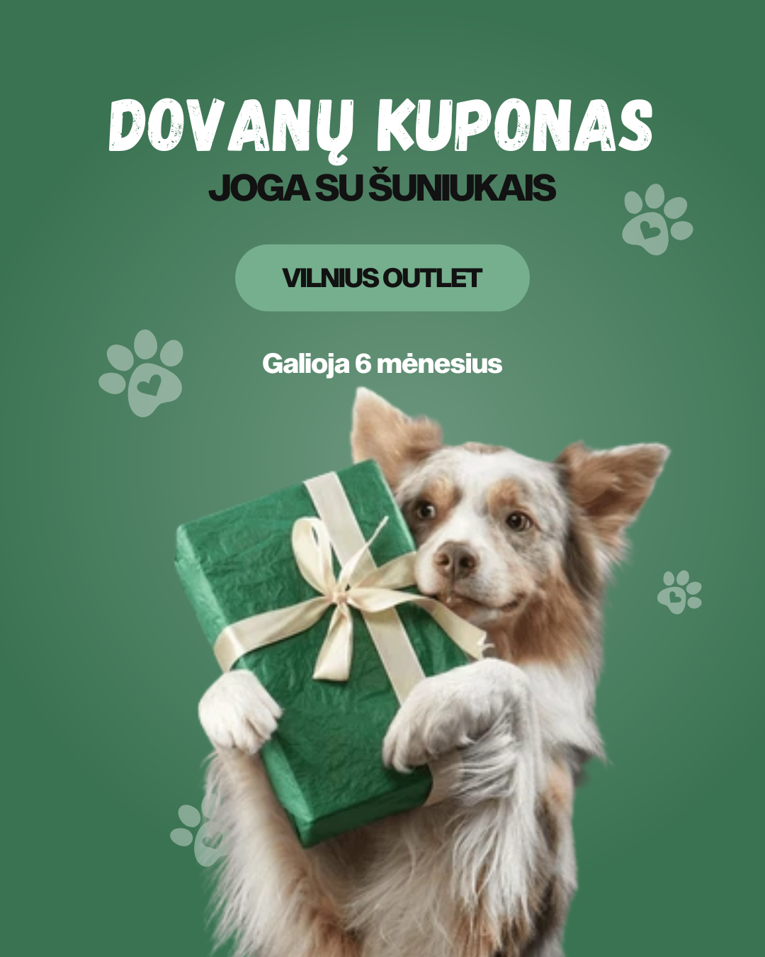 Dovanų kuponas jogai su šuniukais