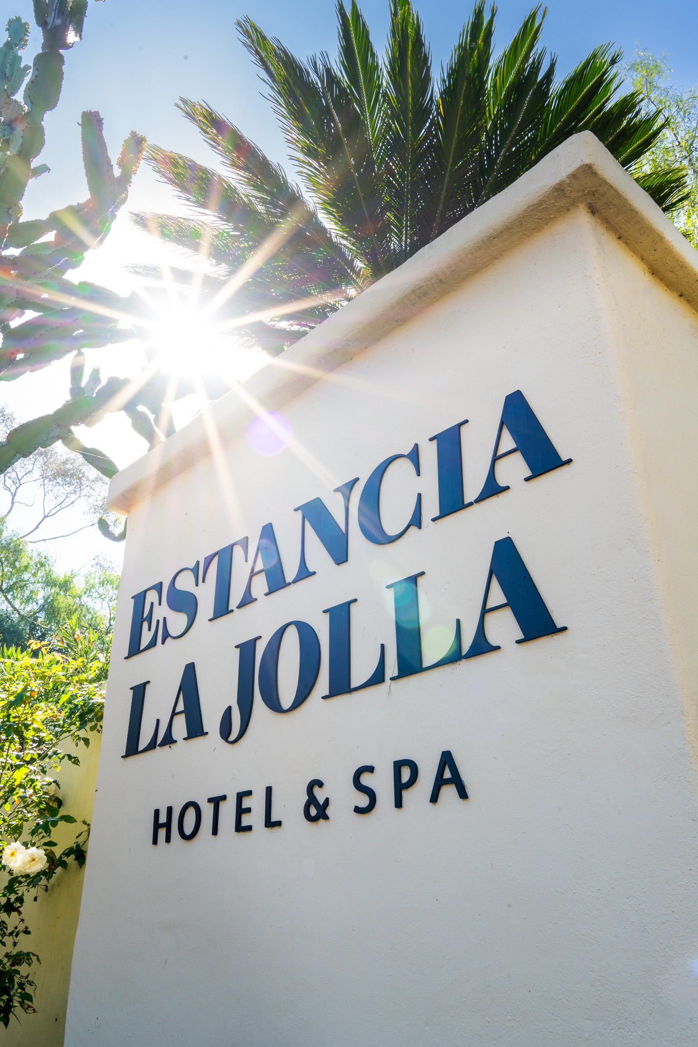 November 15th 10AM - 3:00 PM: General Admission