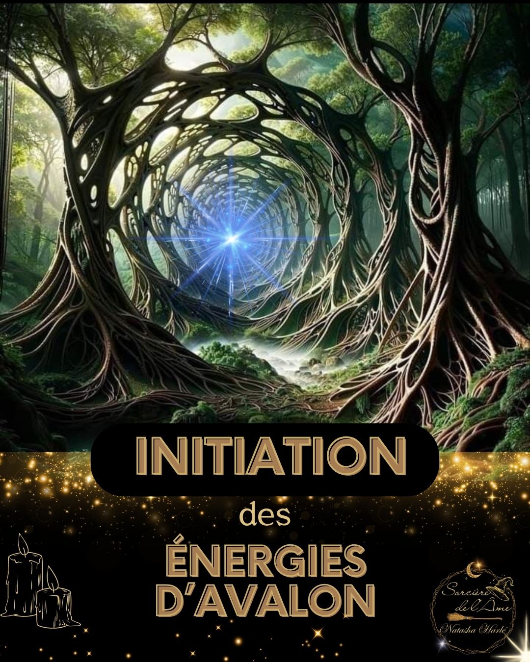Initiation Soin Celtes : Les énergies d'Avalon - La couronne du succès