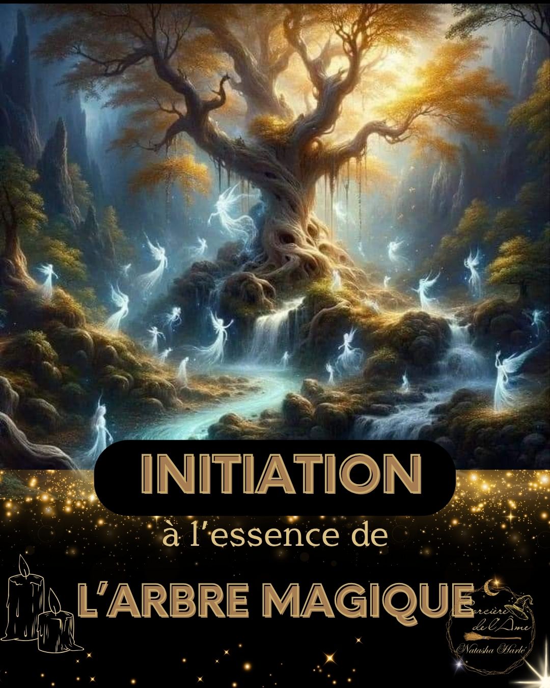 Initiation Soin Celtes : L'Essence de l'Arbre Magique