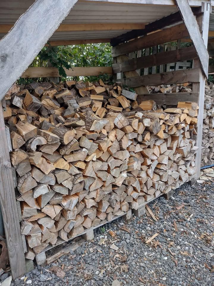 Firewood 1 XL Log Net