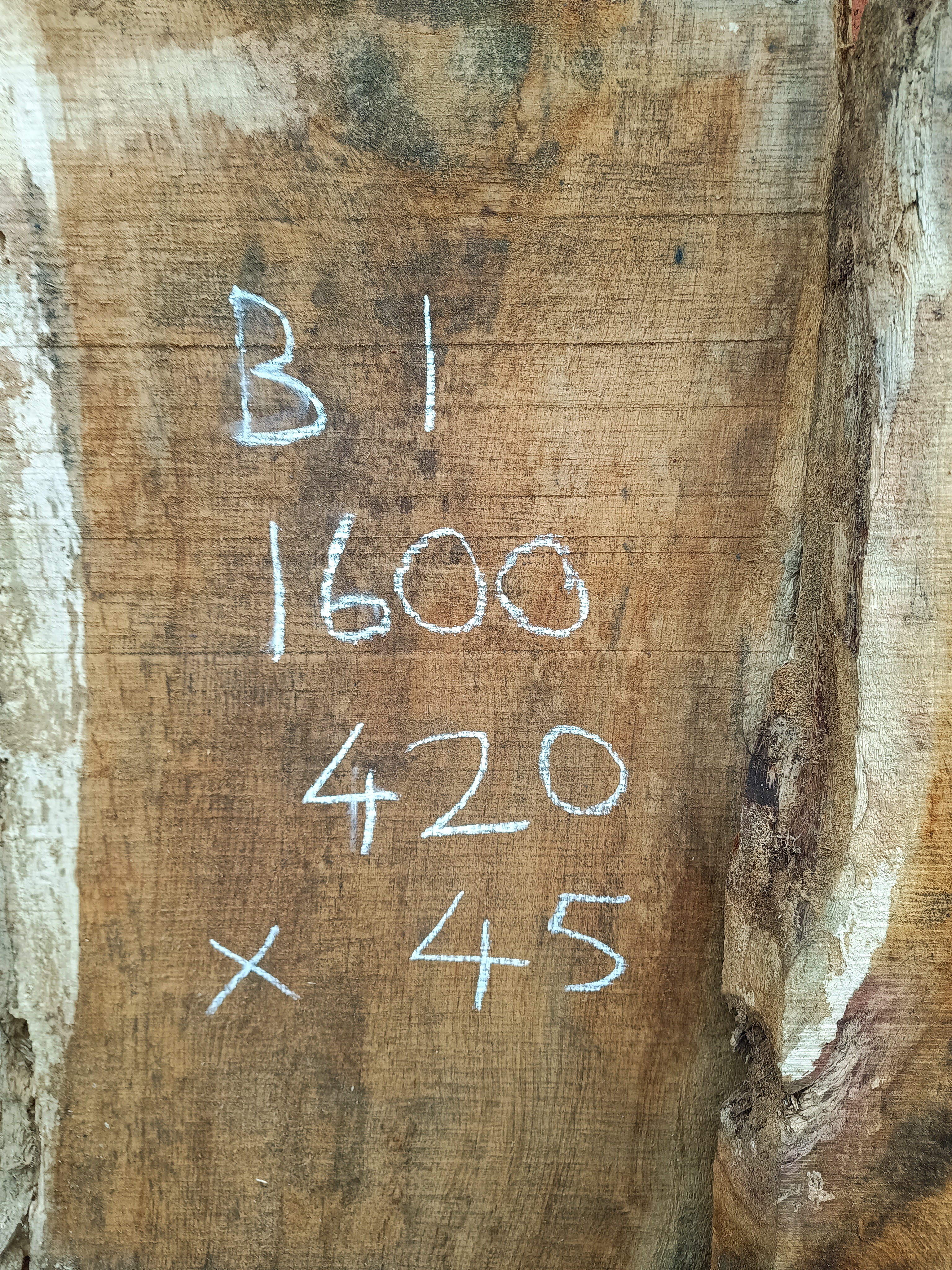 Oak Live / Waney Edge Wide Boards x 3 Air Dried Timber - Batch B
