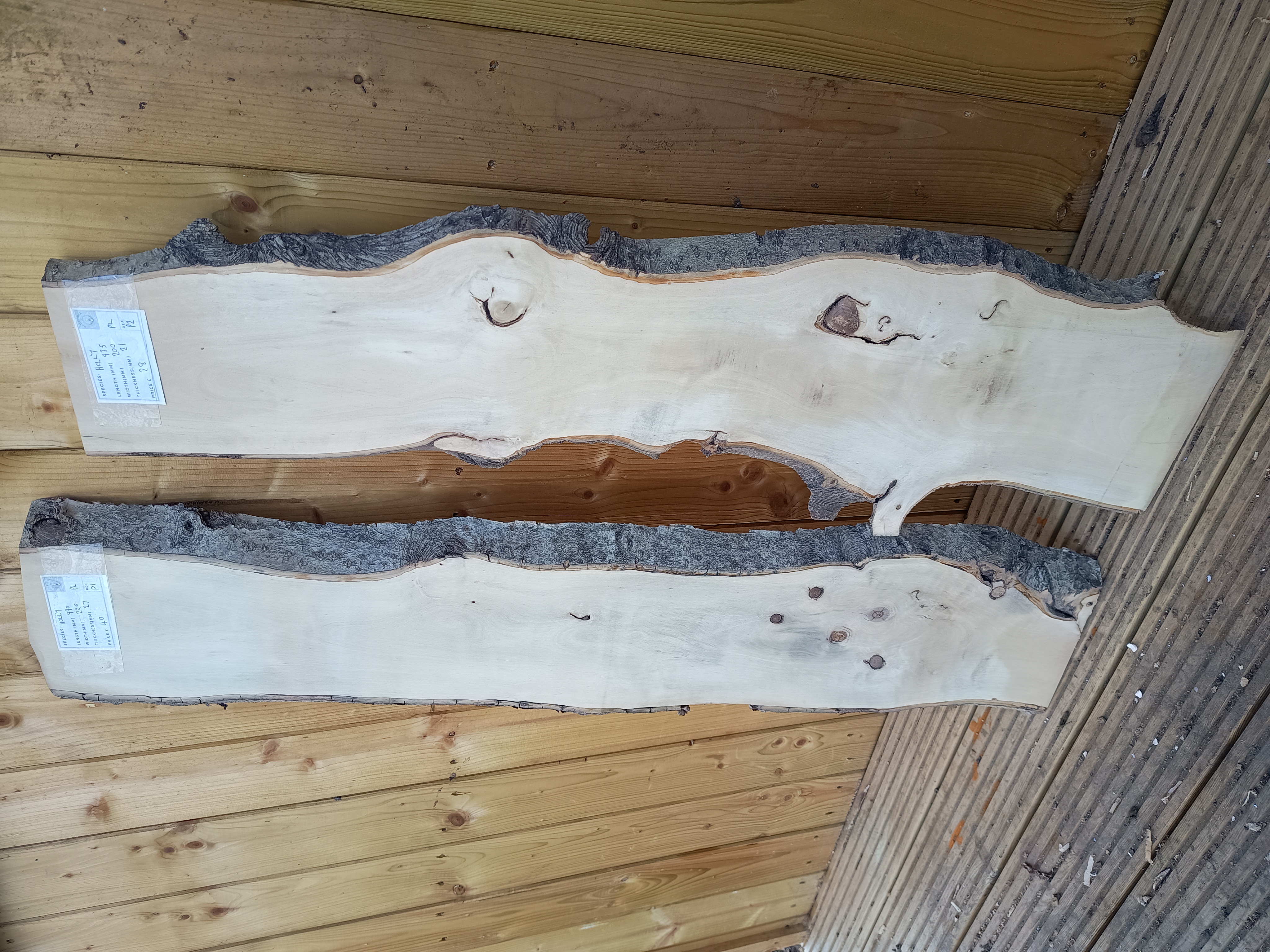 Holly Live Edge Wood Slabs - Planed & Air Dried - Batch P