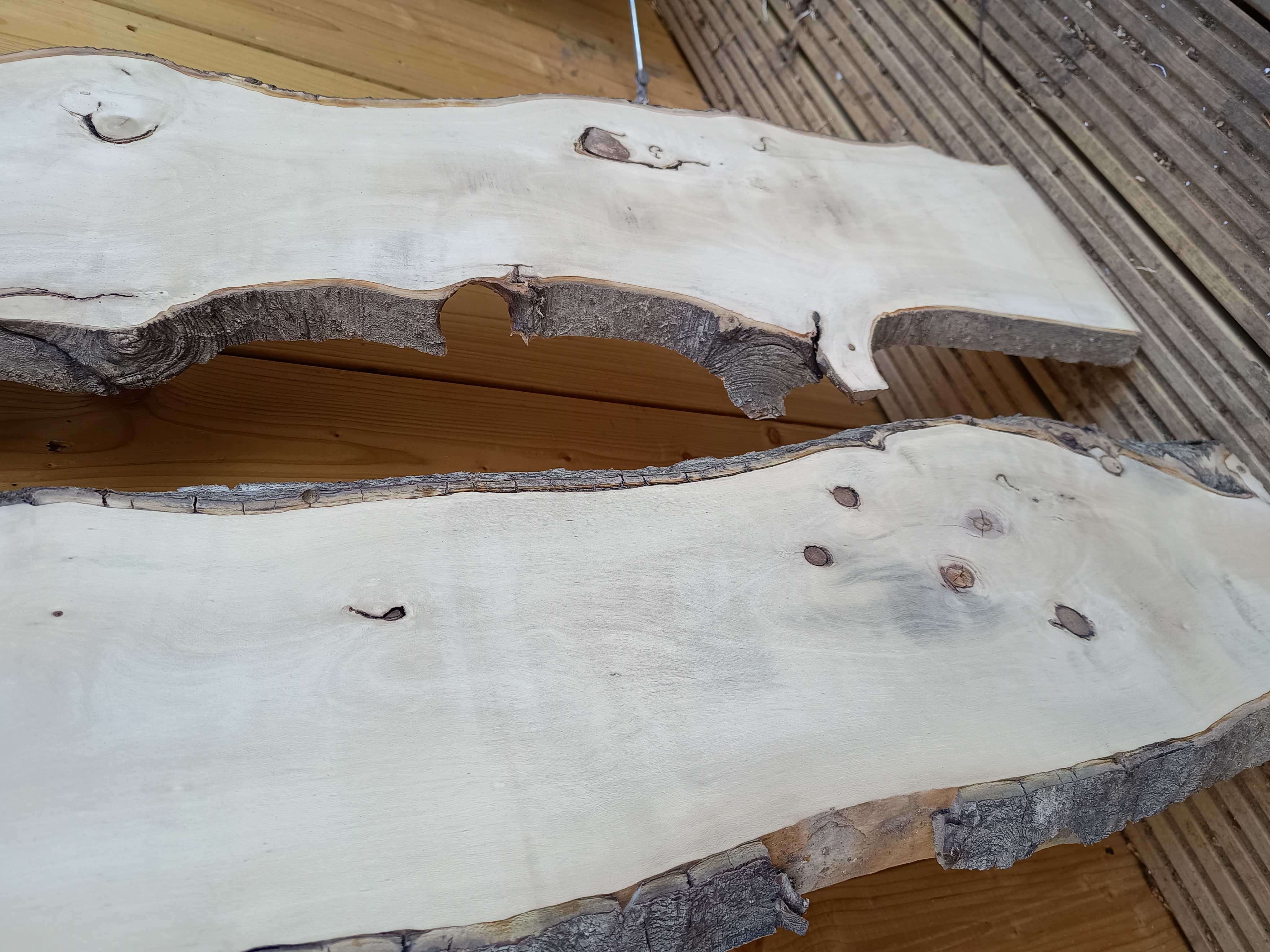 Holly Live Edge Wood Slabs - Planed & Air Dried - Batch P