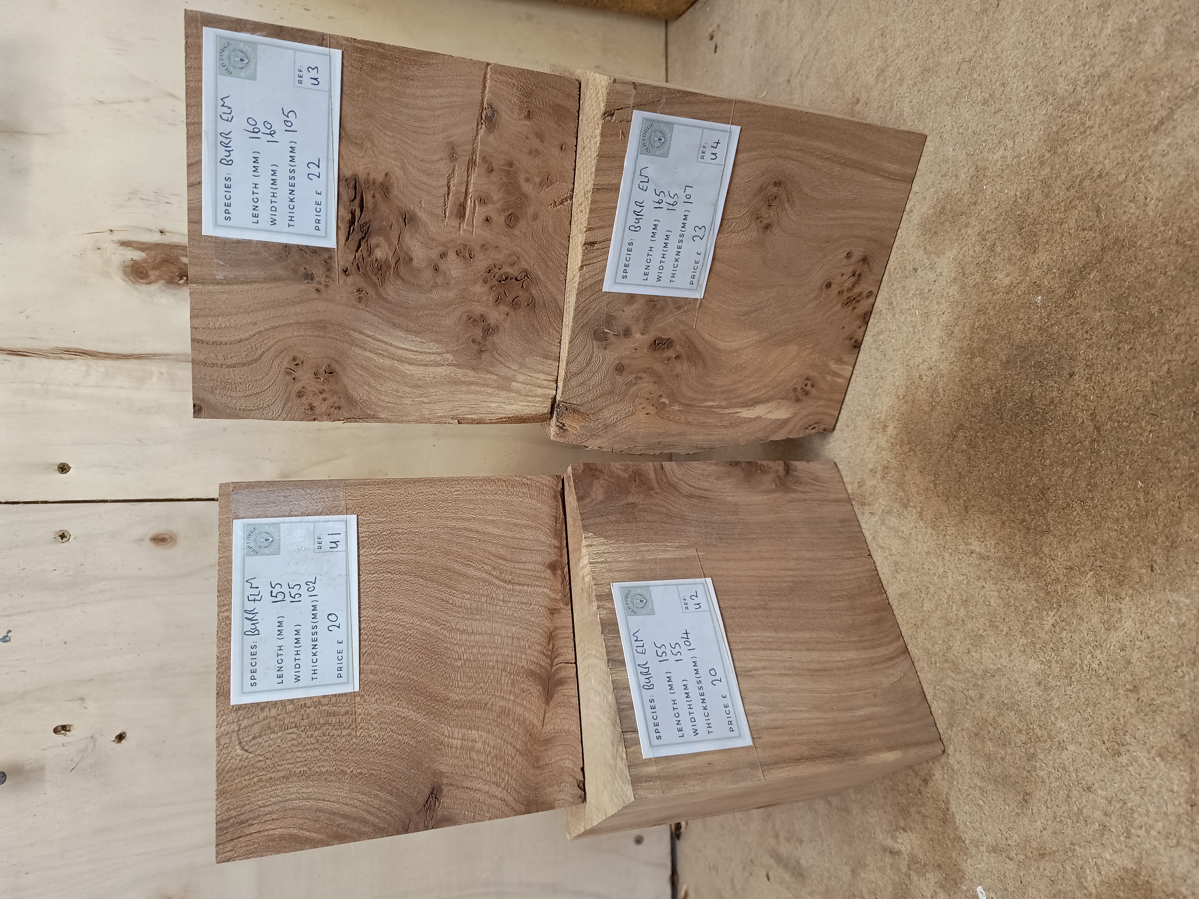 Burr Elm Woodturning Blanks - Batch U