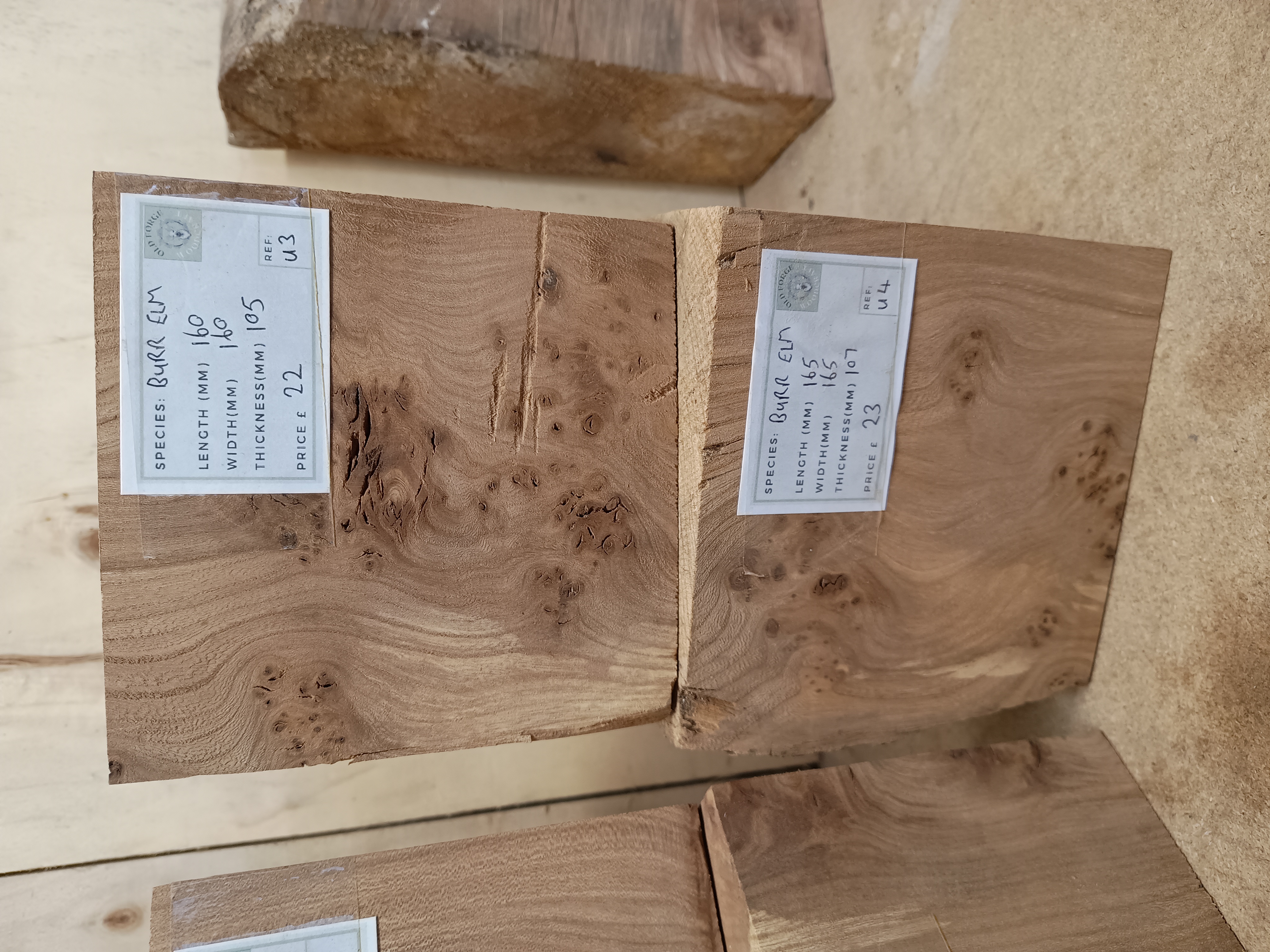 Burr Elm Woodturning Blanks - Batch U
