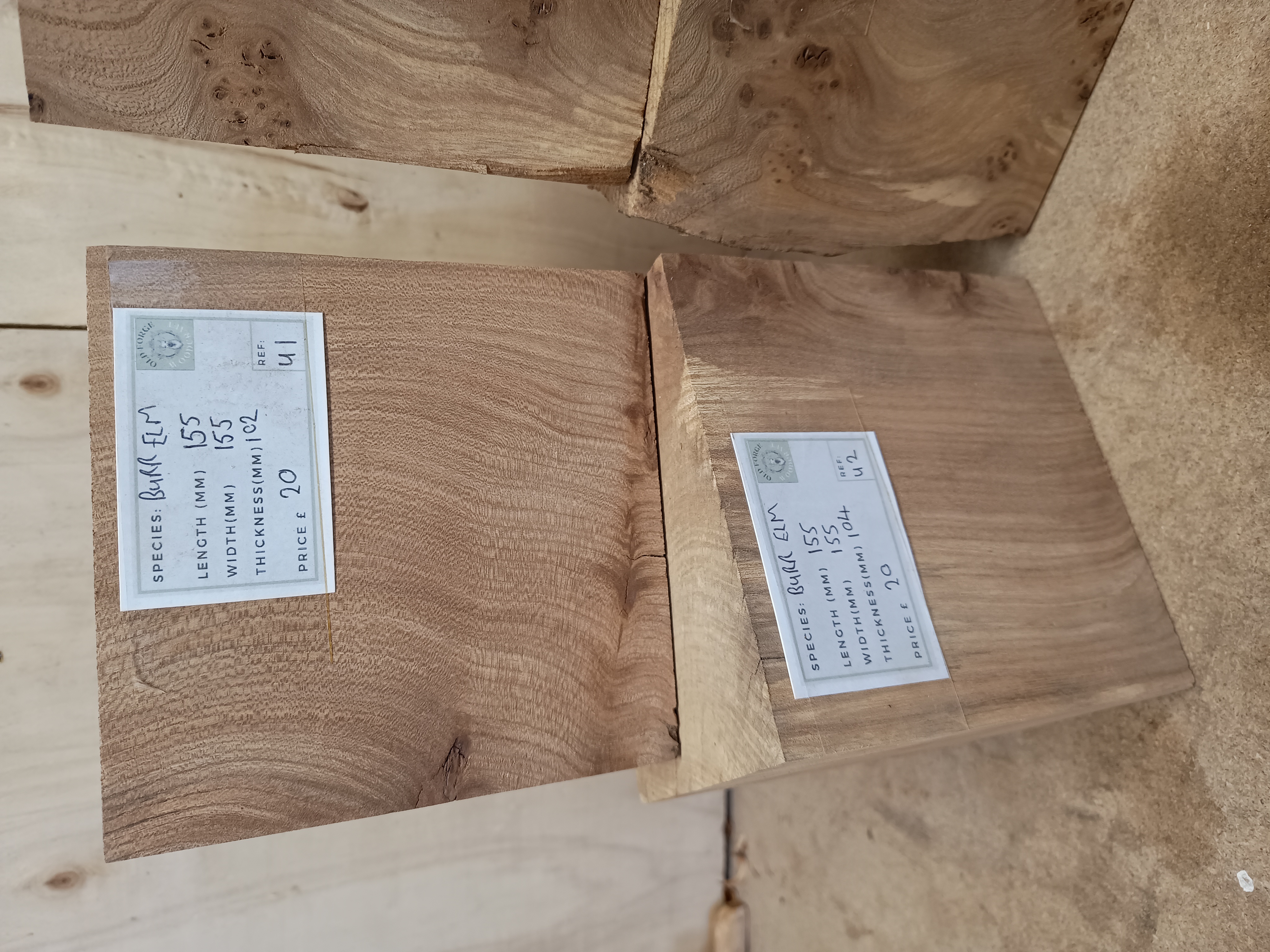 Burr Elm Woodturning Blanks - Batch U