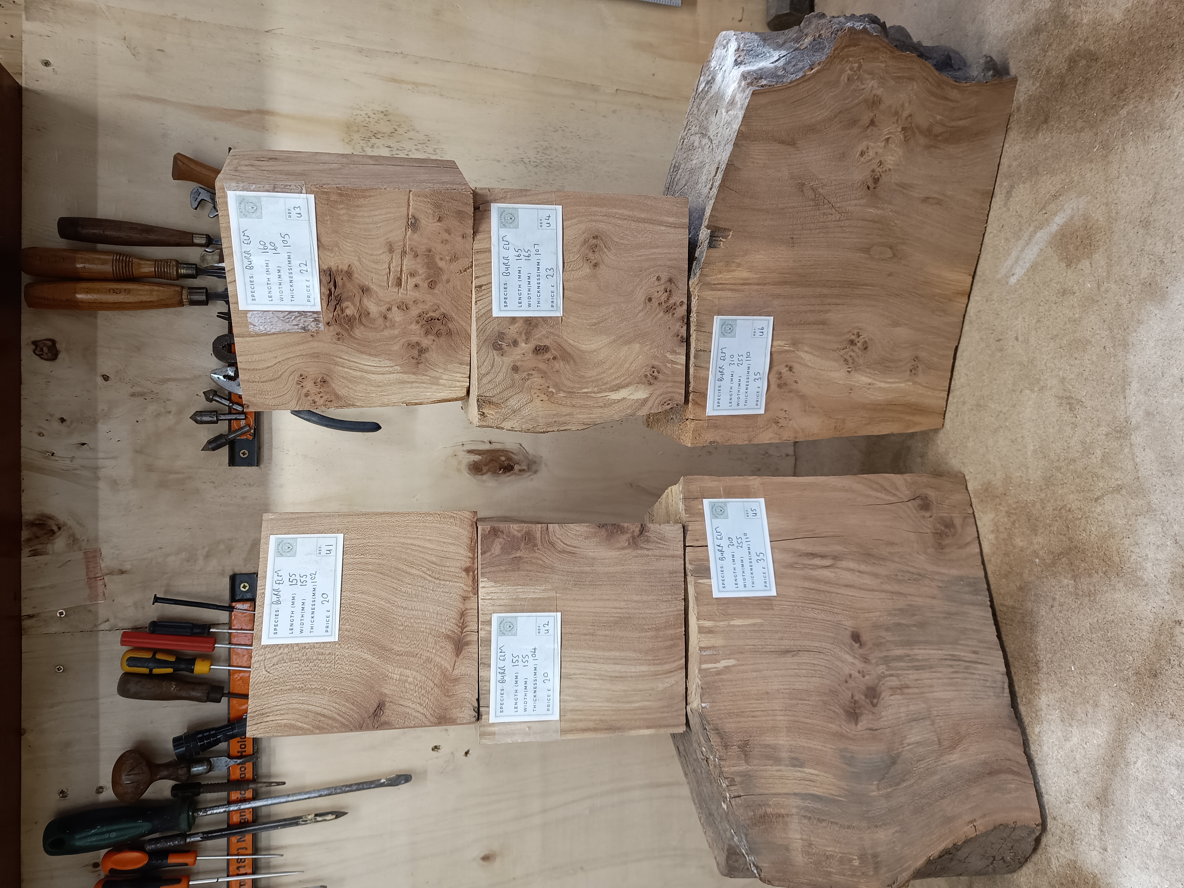 Burr Elm Woodturning Blanks - Batch U