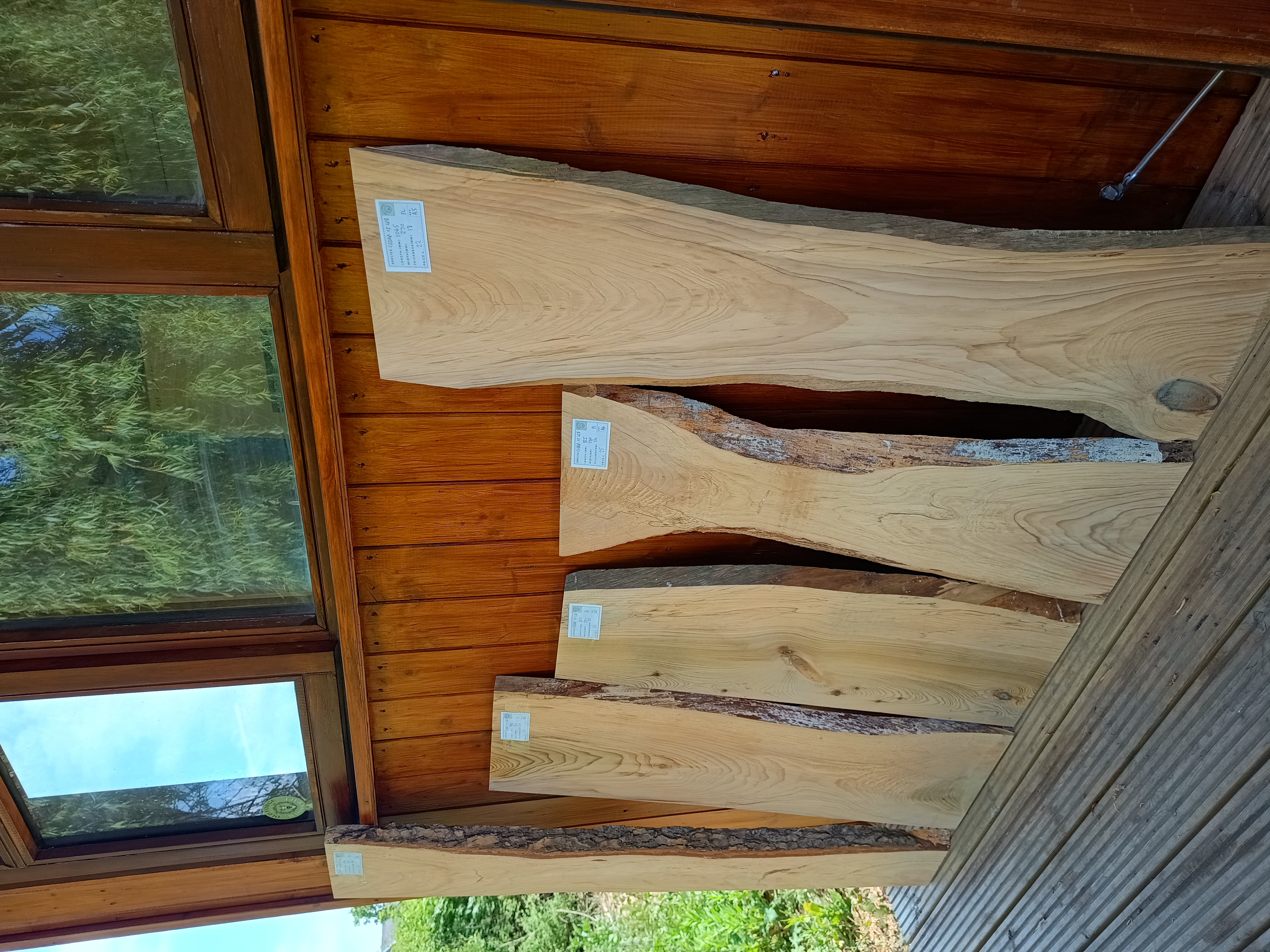 Cedar of Lebanon Live / Waney Edge Wood Boards - Batch A