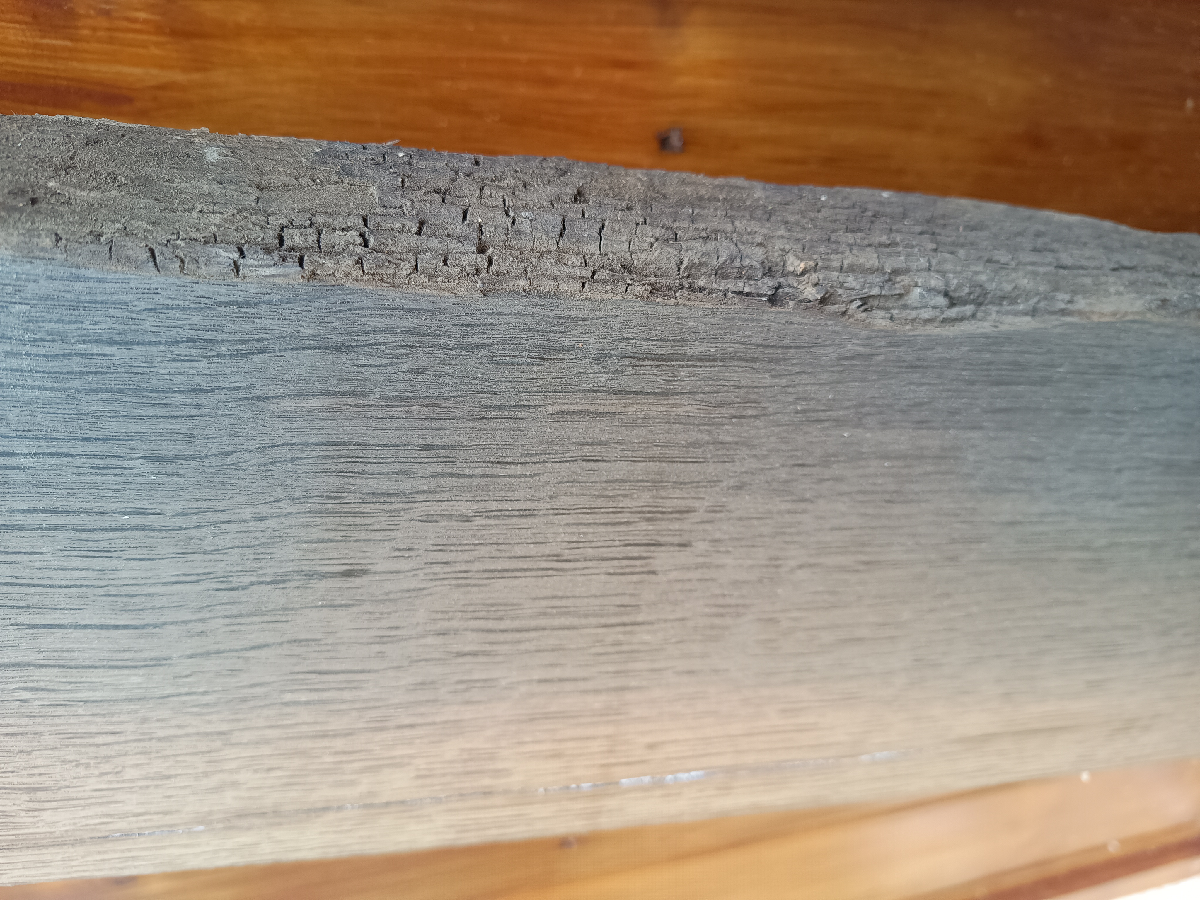 Bog Oak / Morta Wood - Semi Fossilised Timber - Planed - Batch M